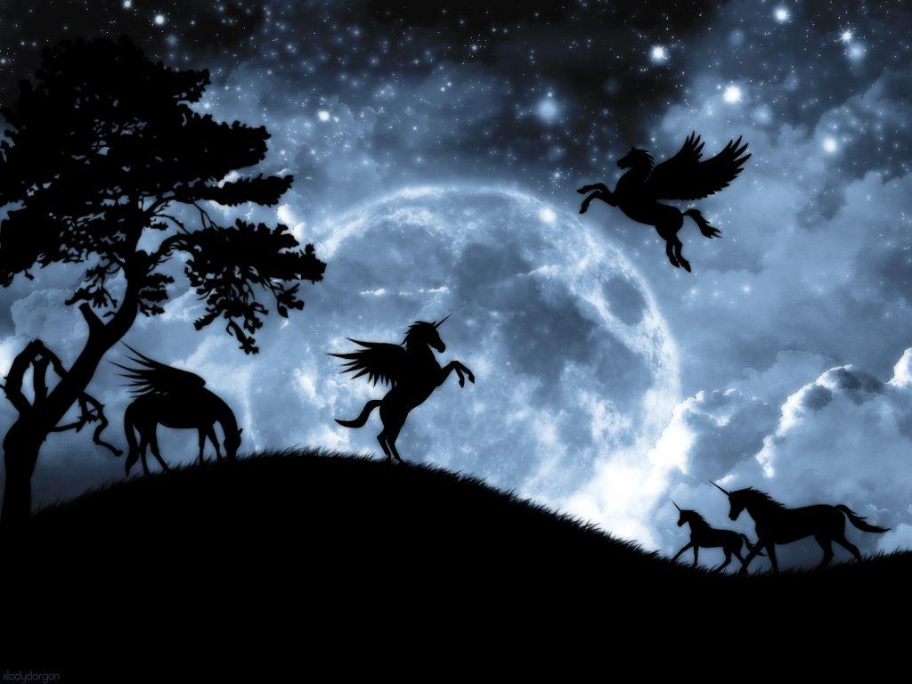 Black Unicorn Wallpapers Top Free Black Unicorn Backgrounds
