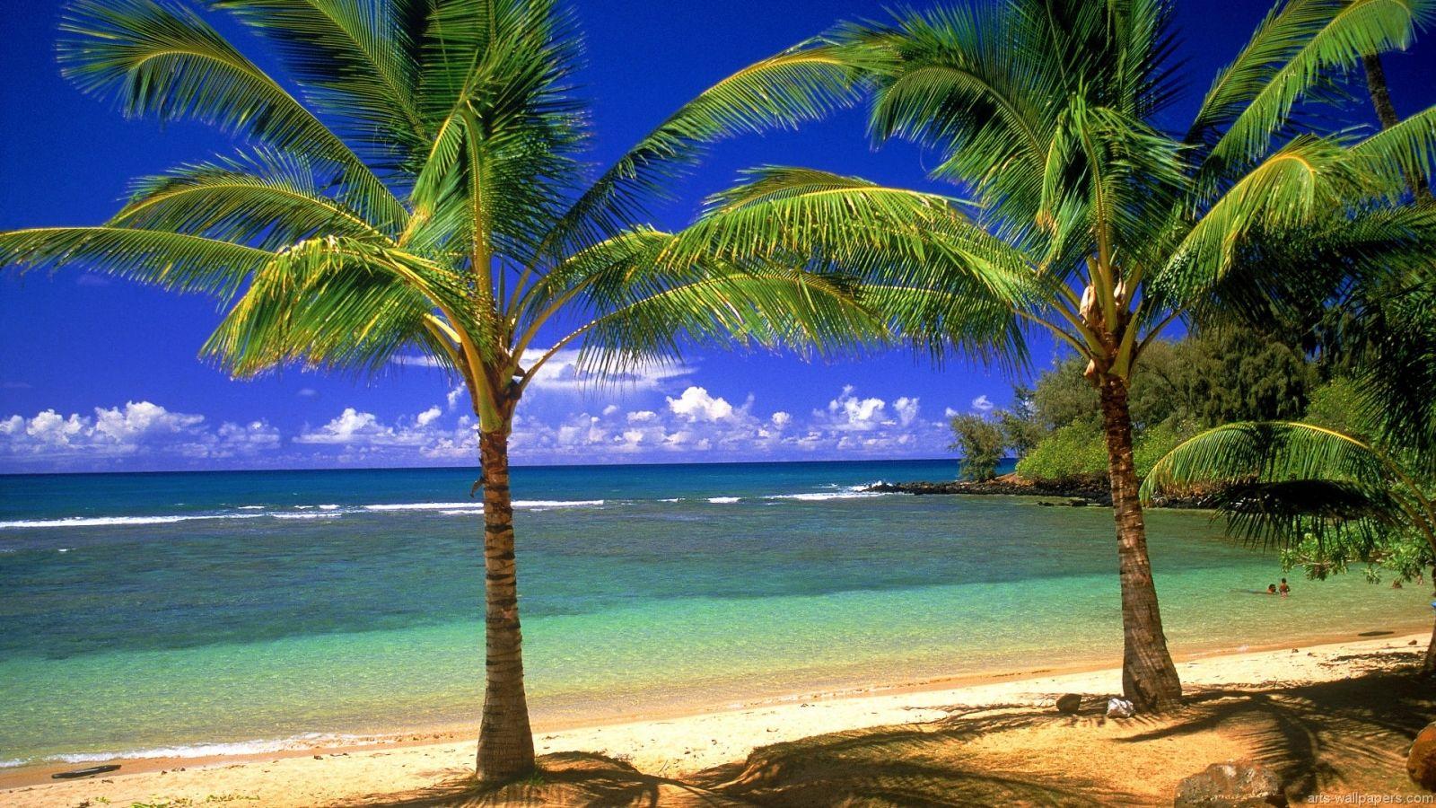 1600x900 Free download Tropical Paradise Art Prints Art Wall and Posters