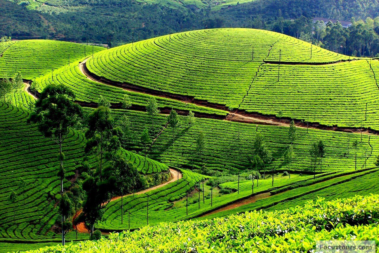 1600x1067 OOTY Photo, Image and Wallpaper, HD Image, Near