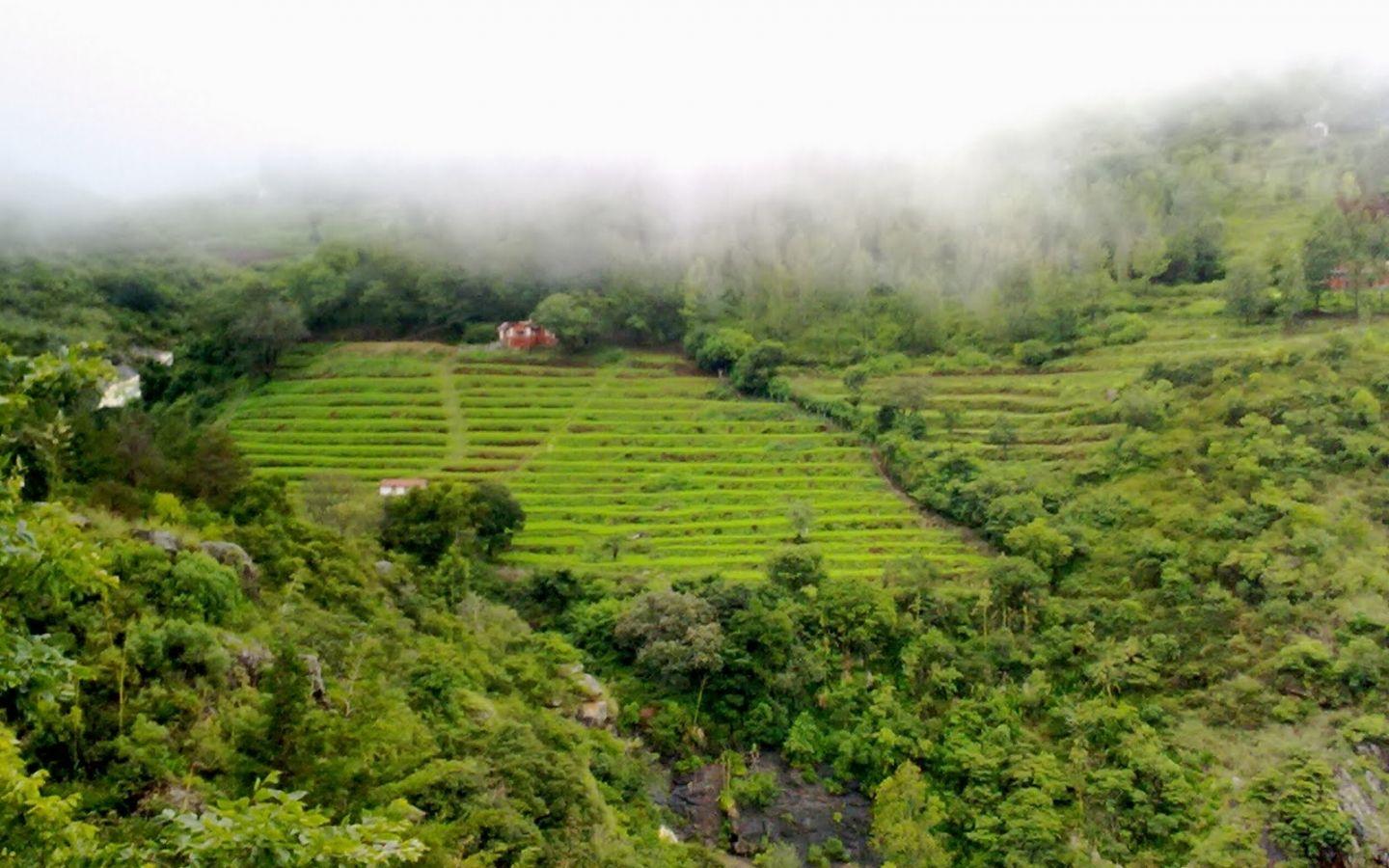 1440x900 Free download Ooty India Nature Wallpaper Cool Full Screen