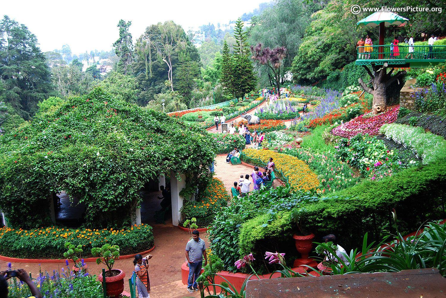 1500x1004 Government Botanical Garden Ooty Government Botanical