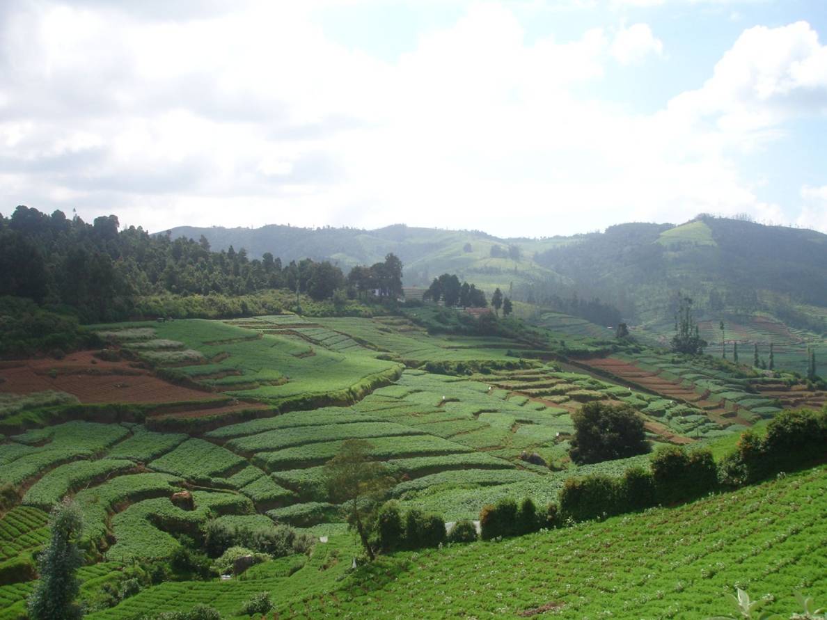 1188x891 Ooty Wallpaper. Ooty India Wallpaper