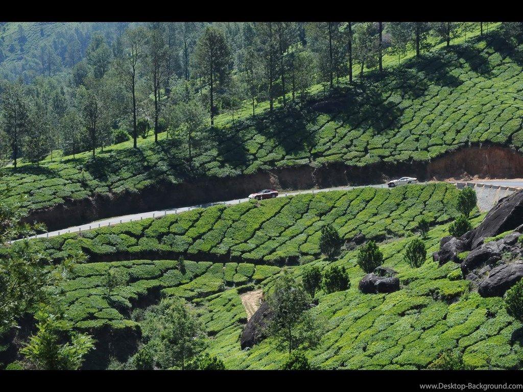 1024x768 Ooty Wallpaper & Background Download