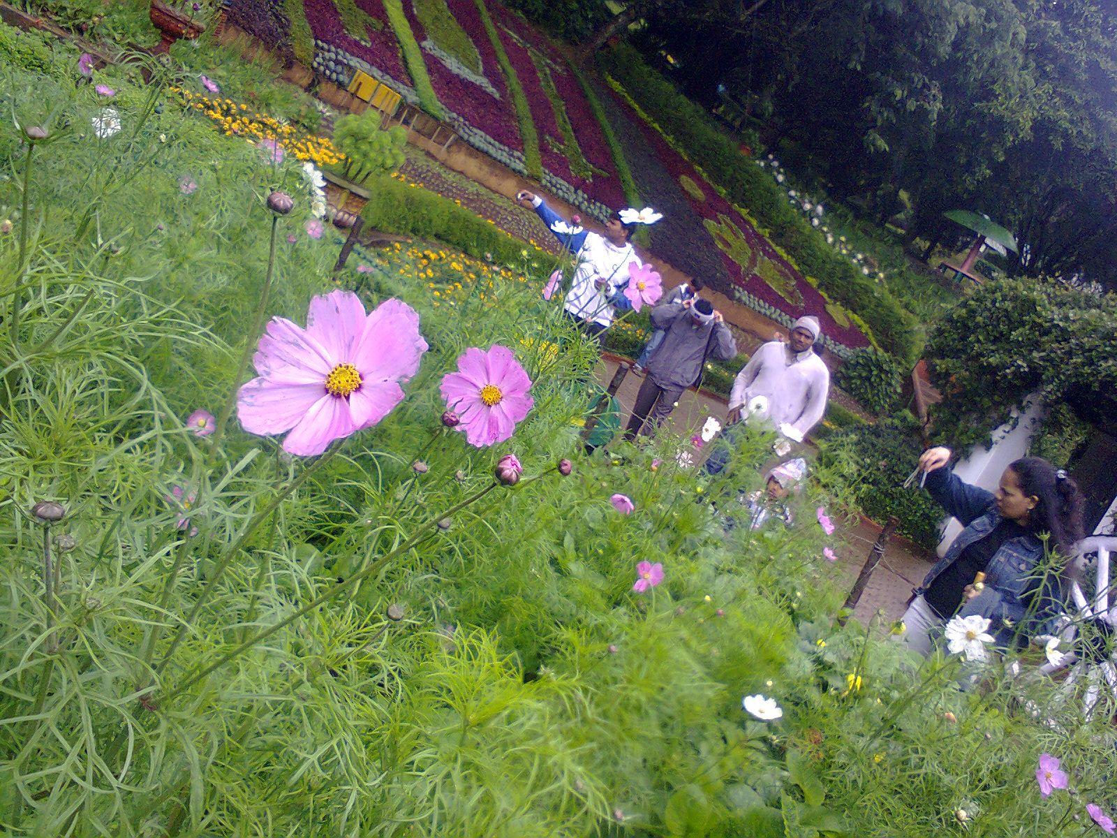 1600x1200 Ooty image e See original photo gallery of Ooty 1600x1200