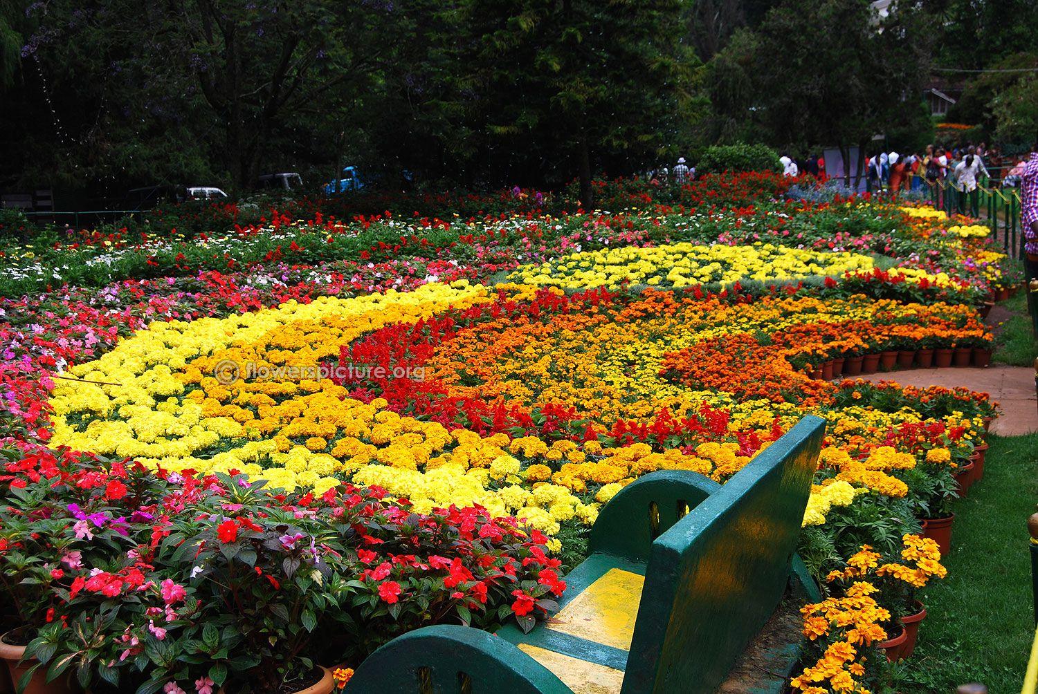 1500x1004 Half Circle Flower Garden Beds Ooty Botanical Garden