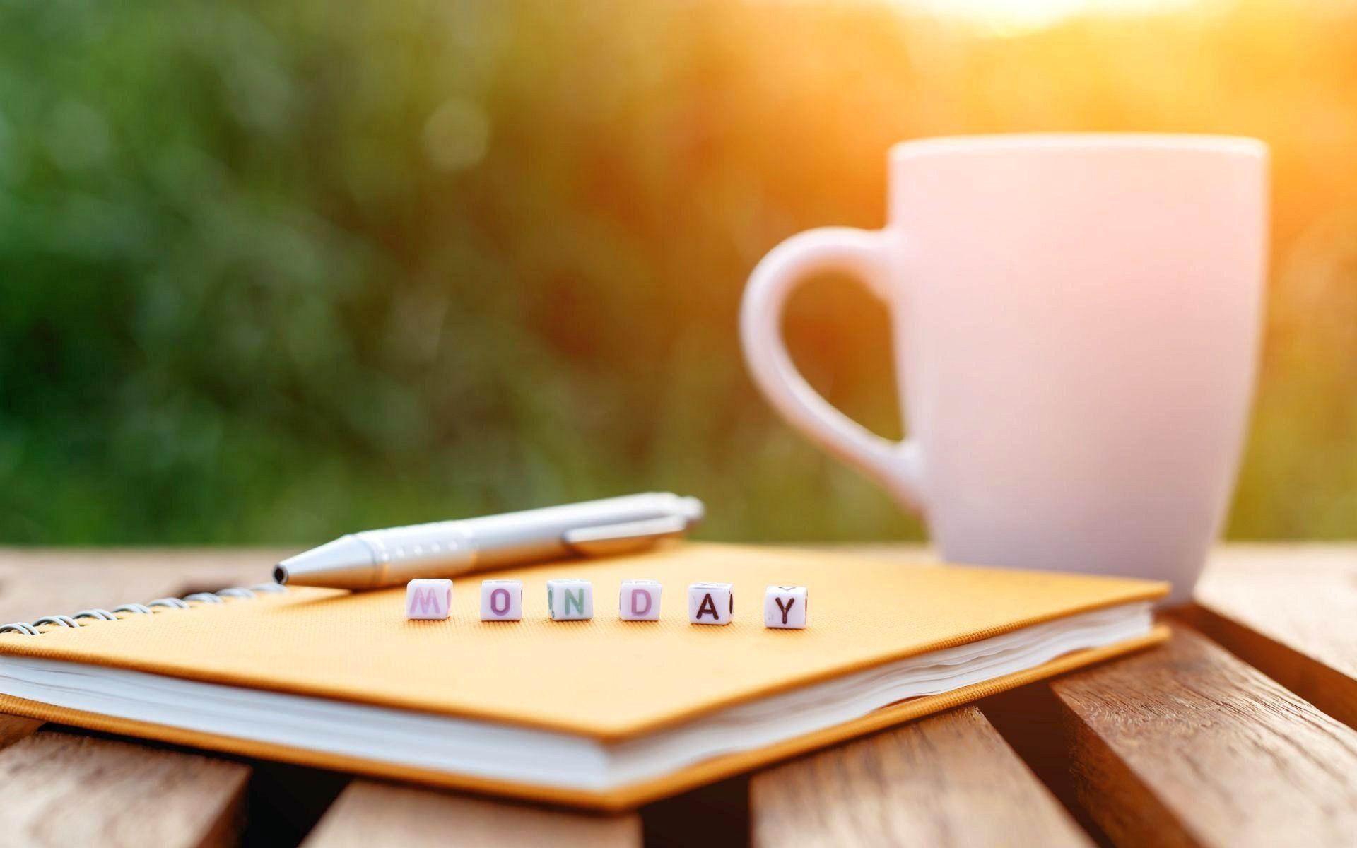 1920x1200 Mug HD Wallpaper and Background Image