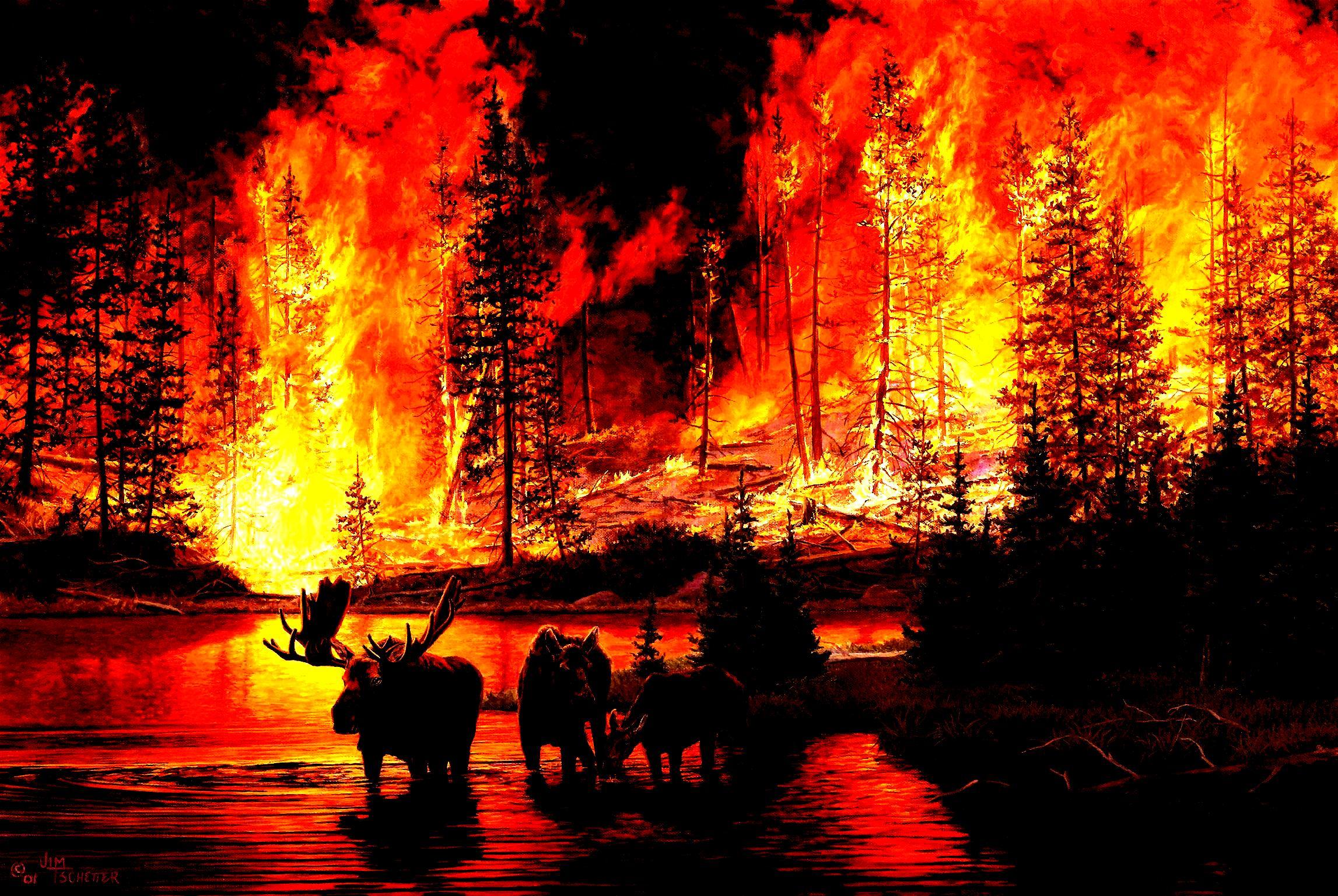 2294x1537 Wildfire Wallpaper