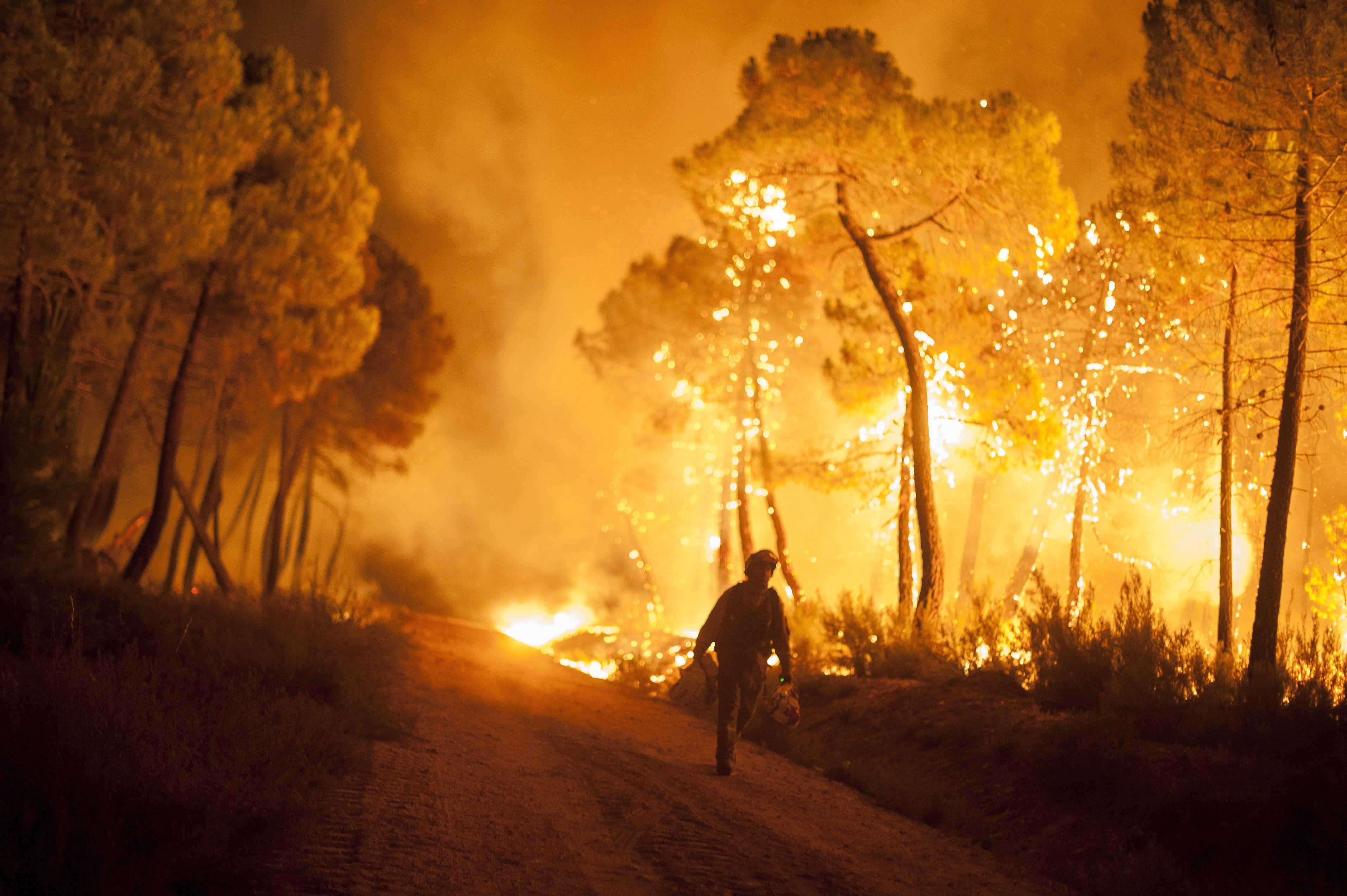 4256x2832 Wildland Fire Background. Fire Skull