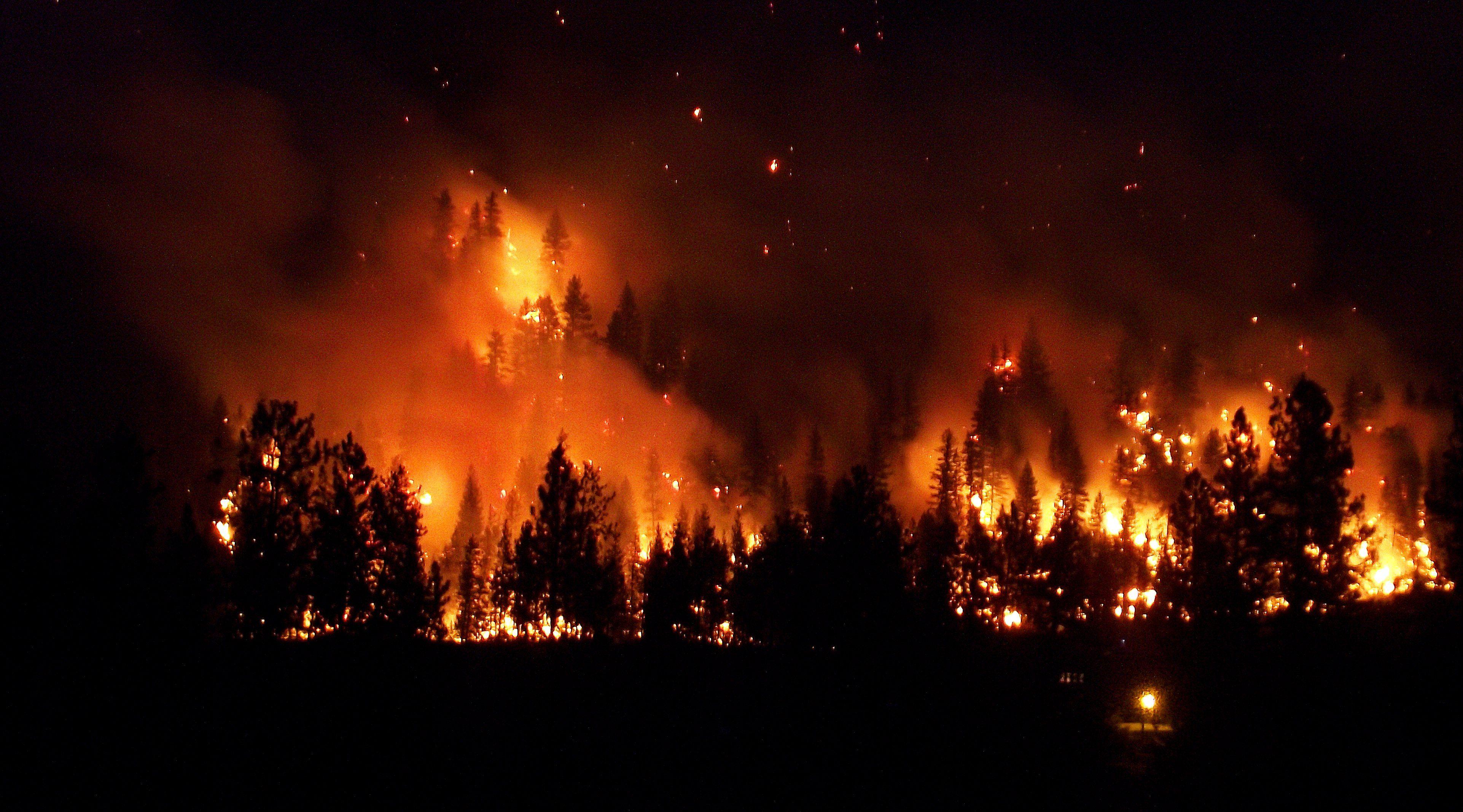 3845x2135 Forest fire flames tree disaster apocalyptic (2) wallpaper