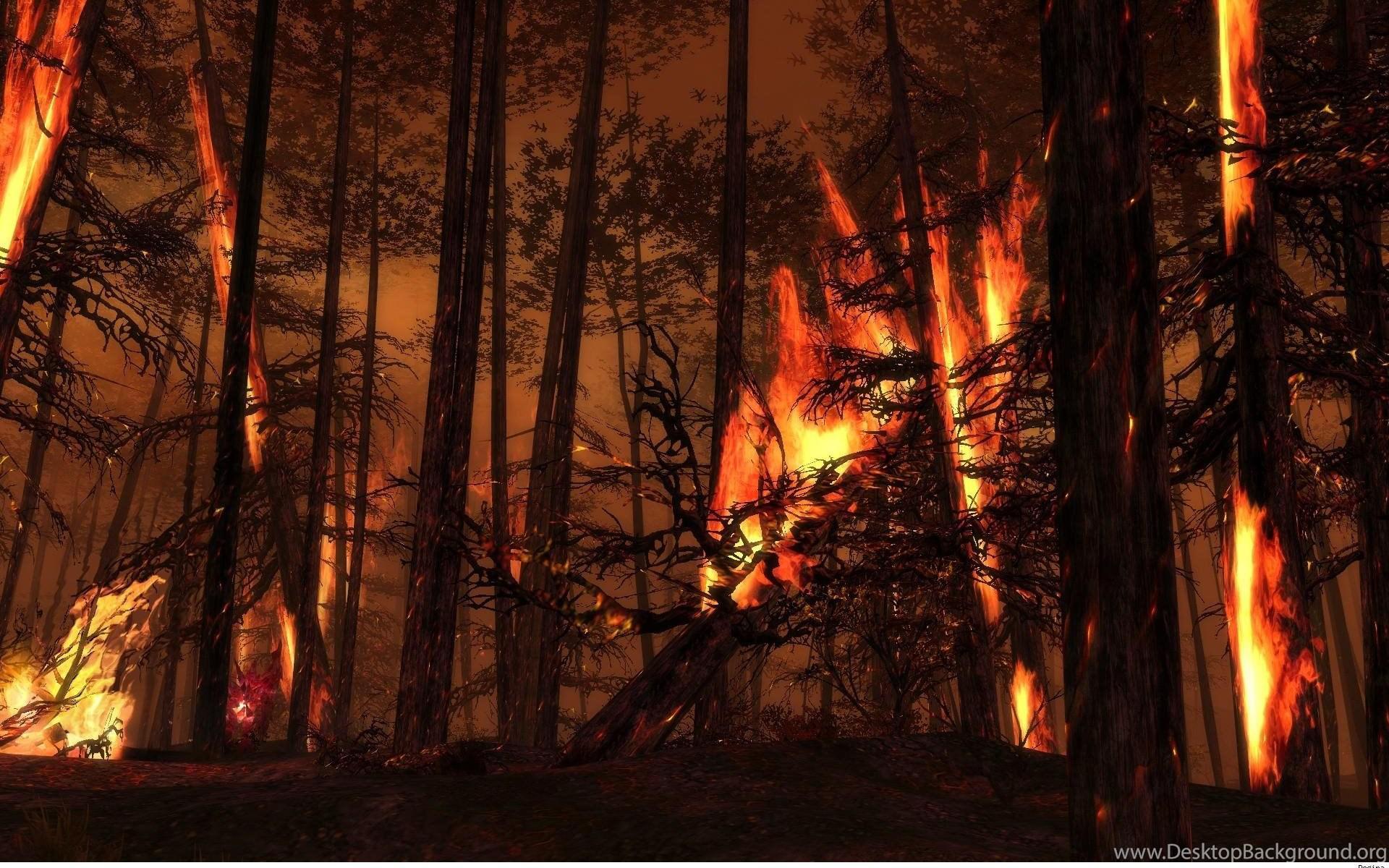 1920x1200 Wildfire wallpaper