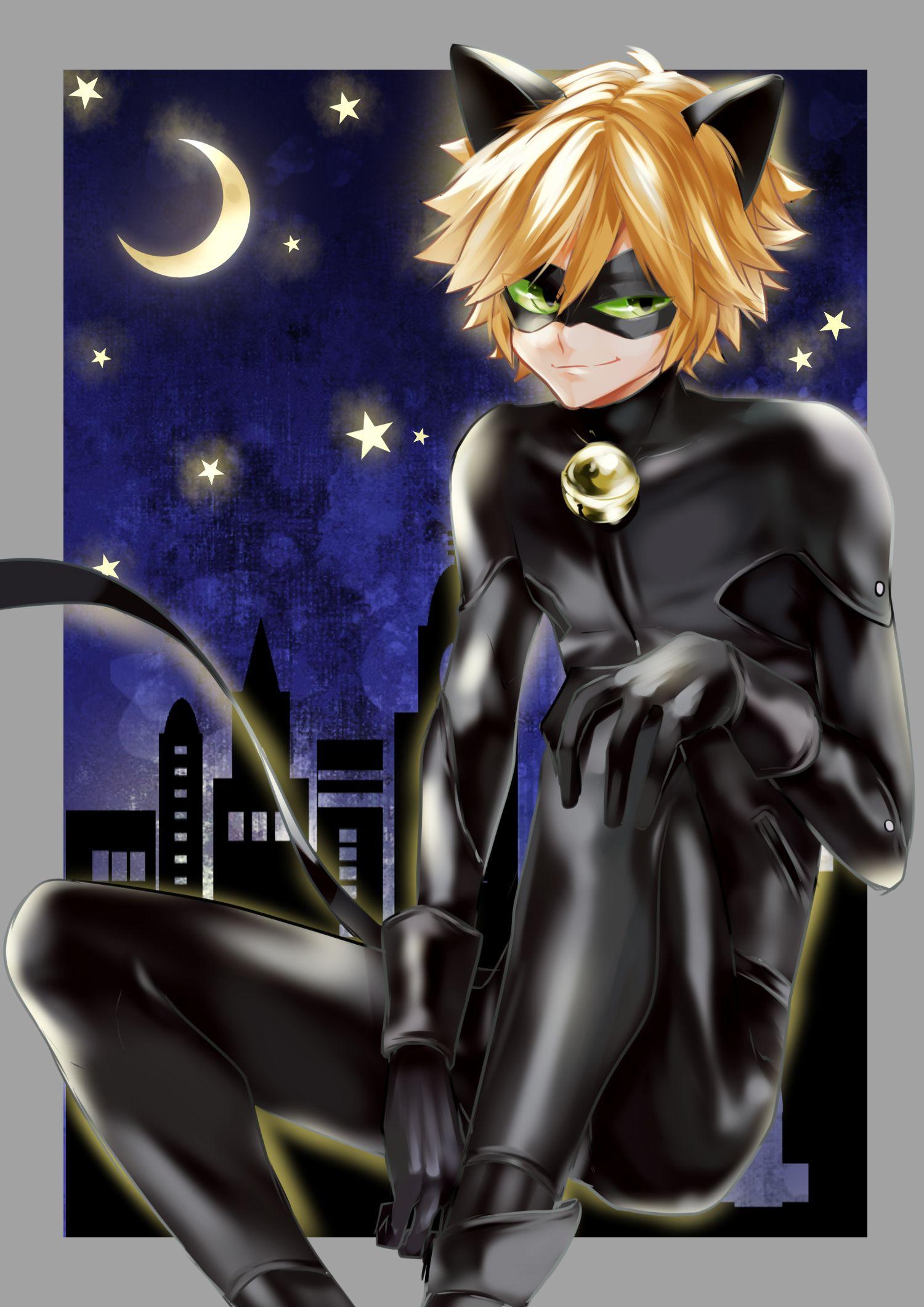 Chat Noir Wallpapers Top Free Chat Noir Backgrounds Wallpaperaccess