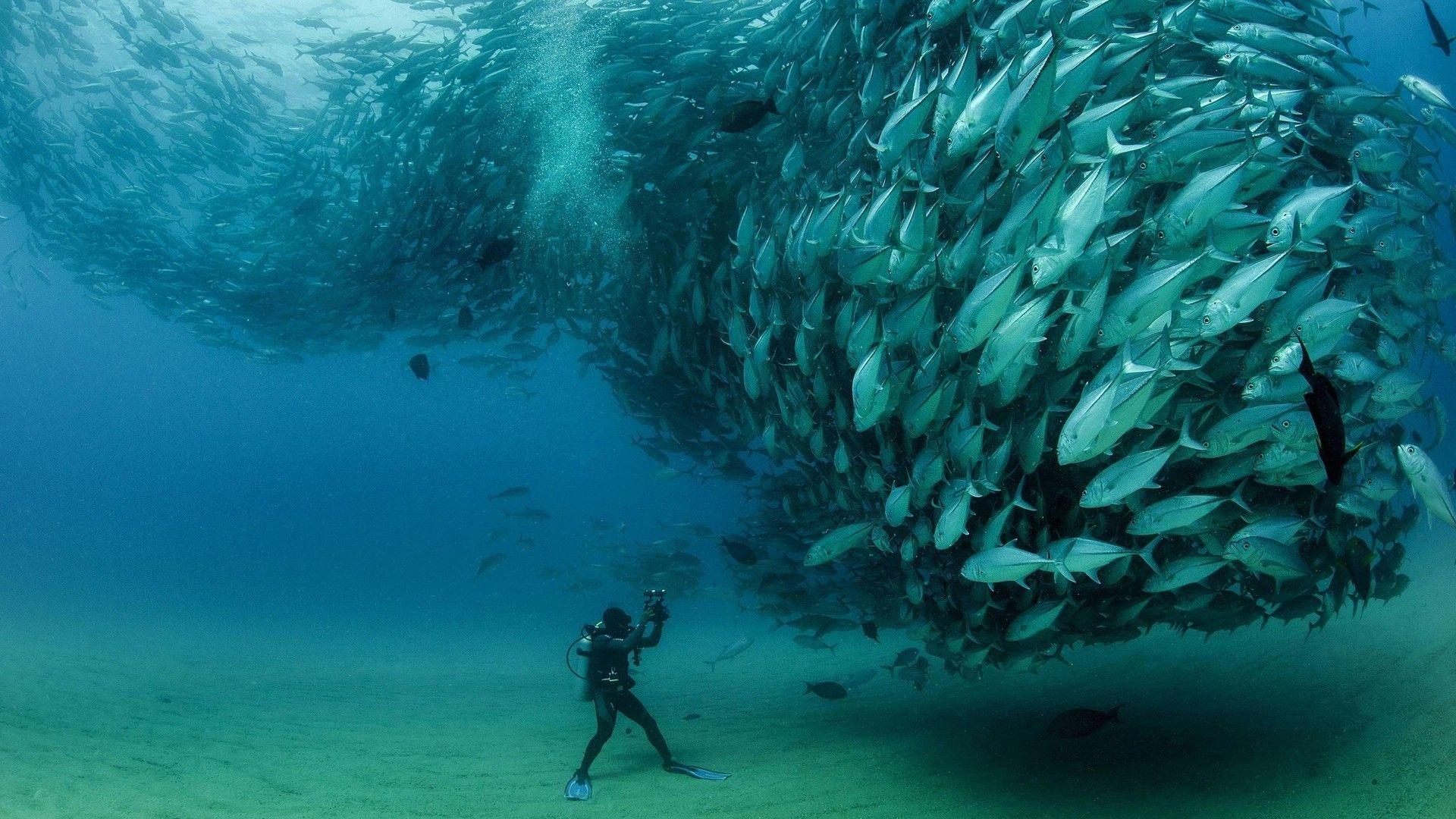 1920x1080 Underwater World Wallpaper