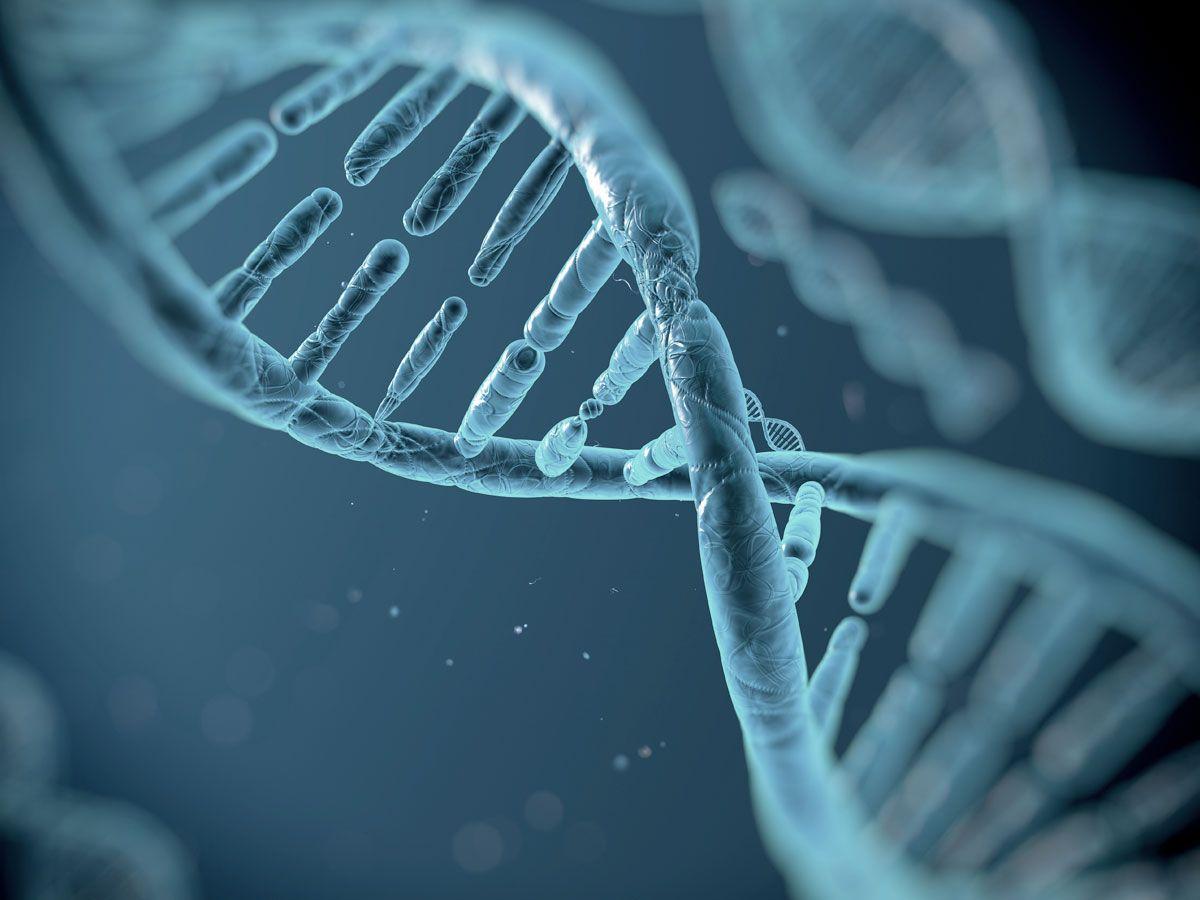 1200x900 Biology Wallpaper. Biology Wallpaper