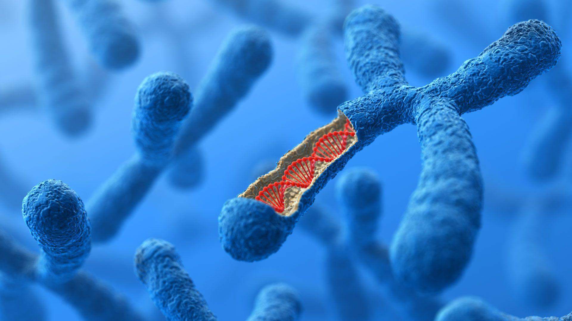 1920x1080 An Outline of Molecular Genetics