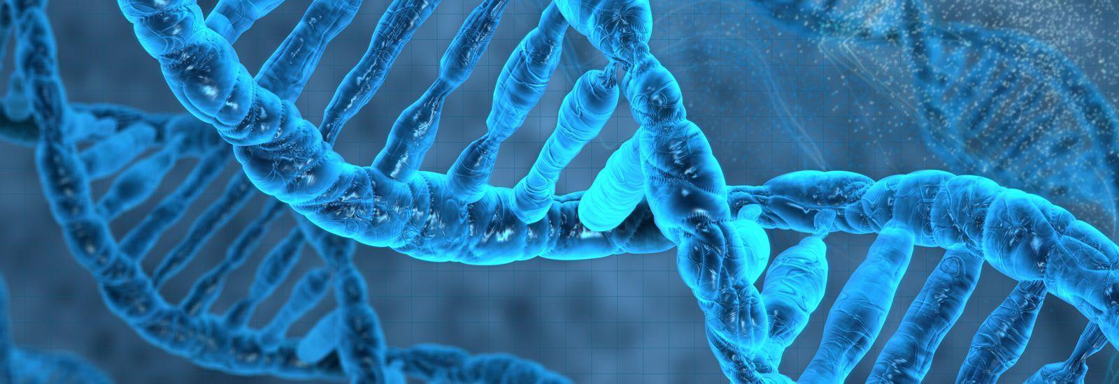 1600x550 Biochemistry (Molecular and Cellular). University of Oxford
