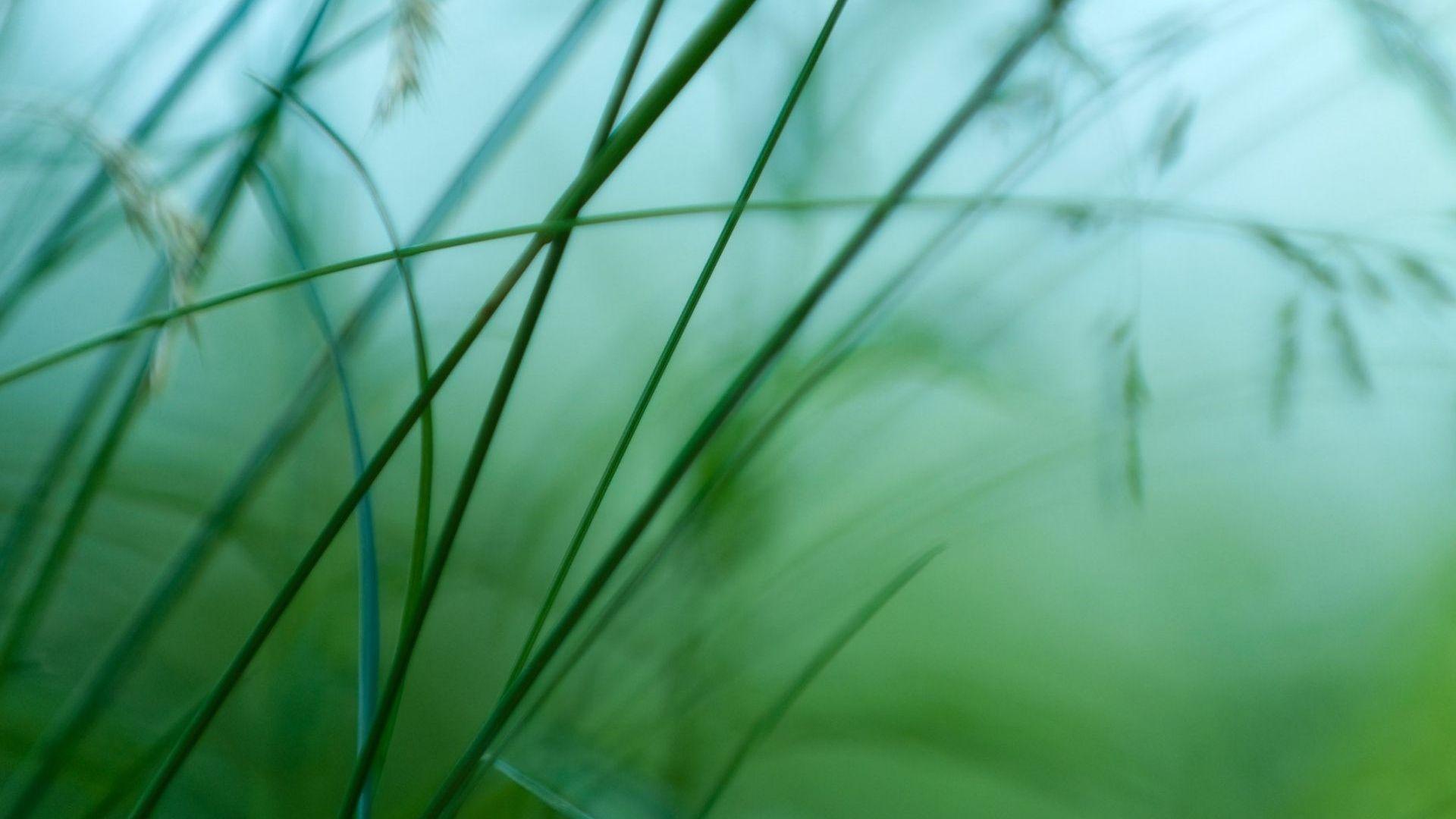 1920x1080 Free download Simple Beautiful Wallpaper Simple Nature Wallpaper