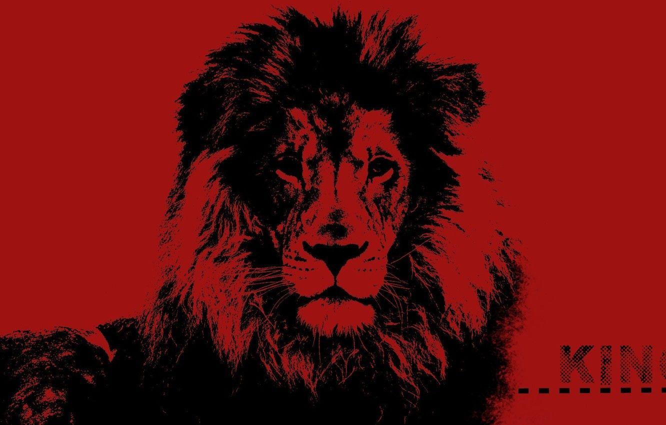 1332x850 Wallpaper desktop, red, fantasy, black, art, lion, pop art, King image for desktop, section кошки