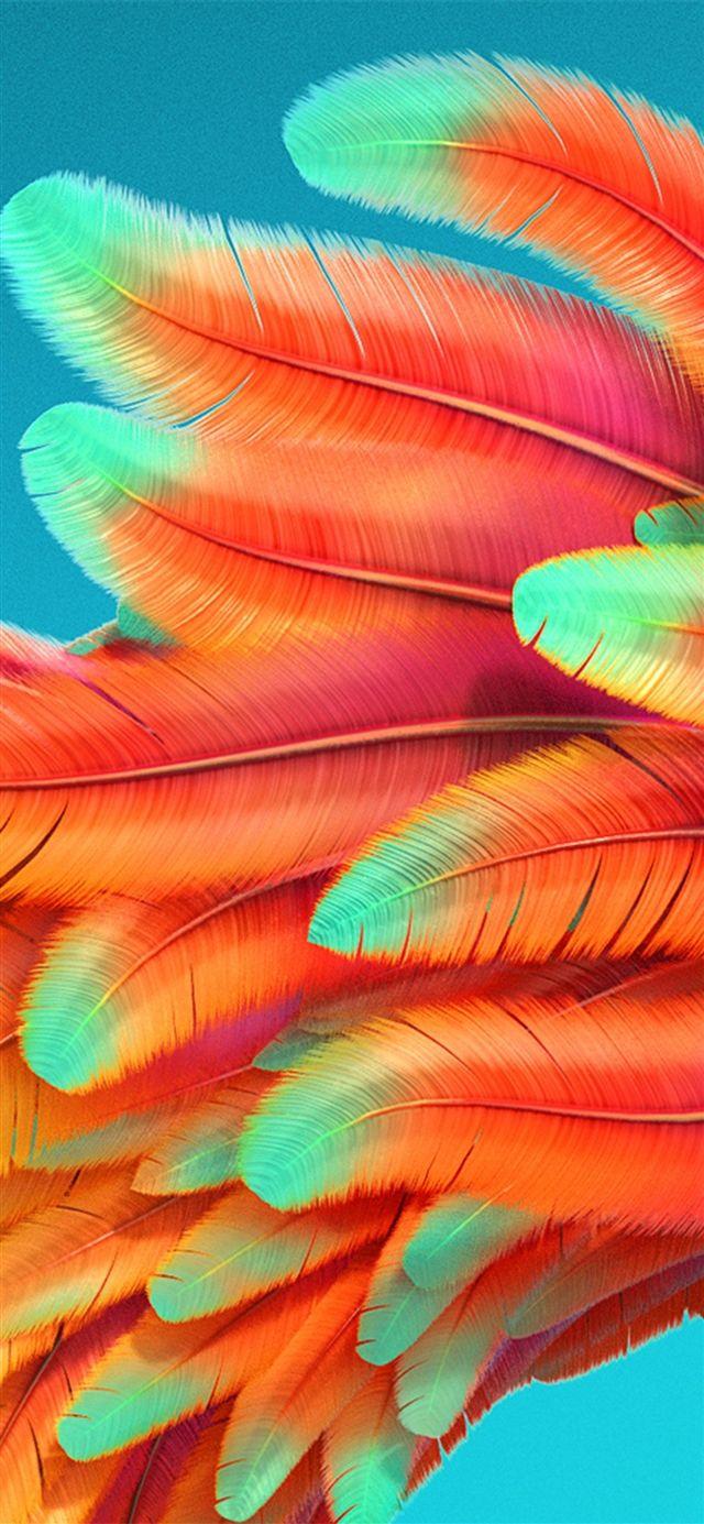 640x1385 Bird color rainbow red pattern background iPhone X Wallpaper Free