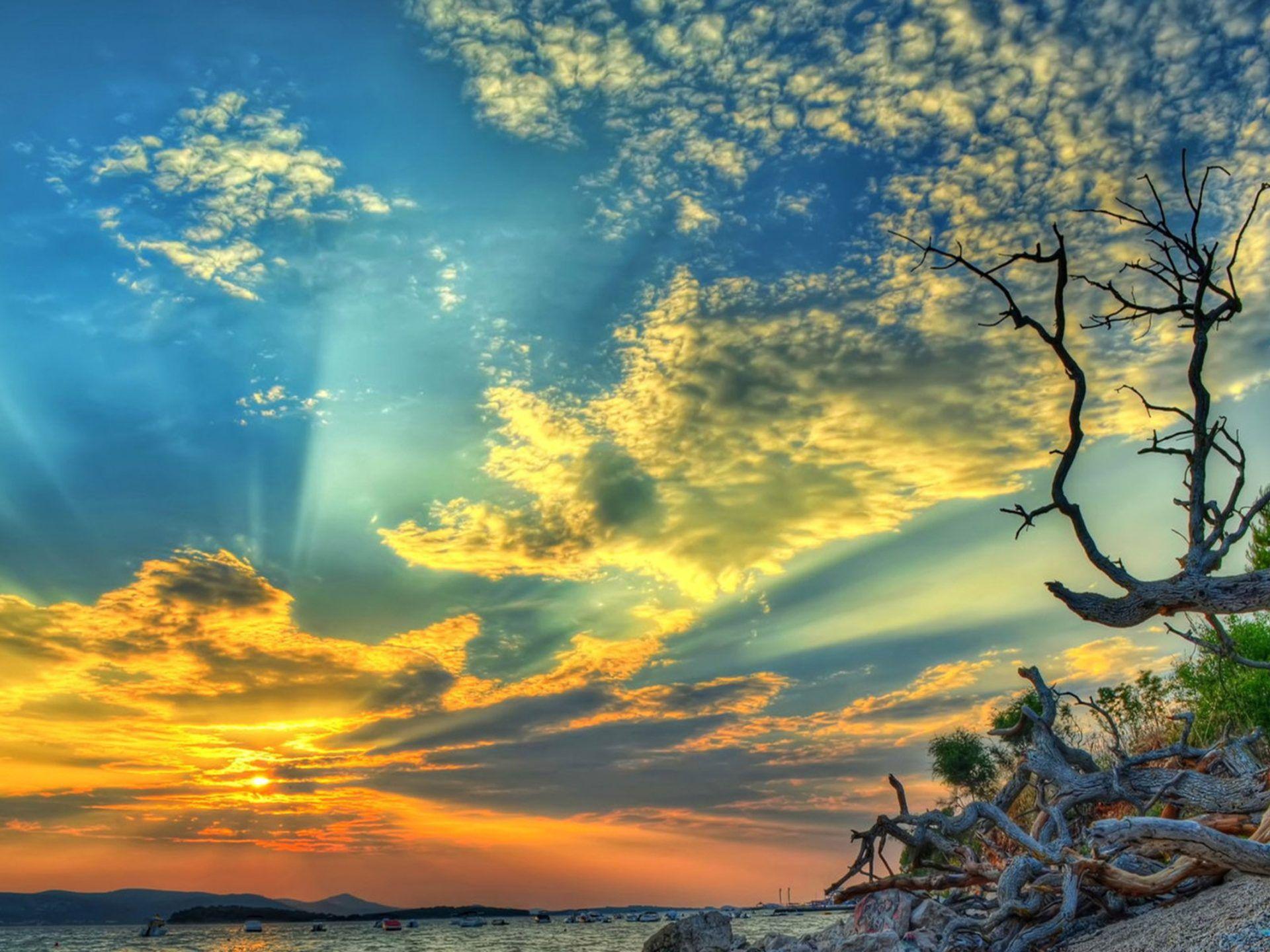 1920x1440 Sunset sea beach dry tree branches blue sky orange and white