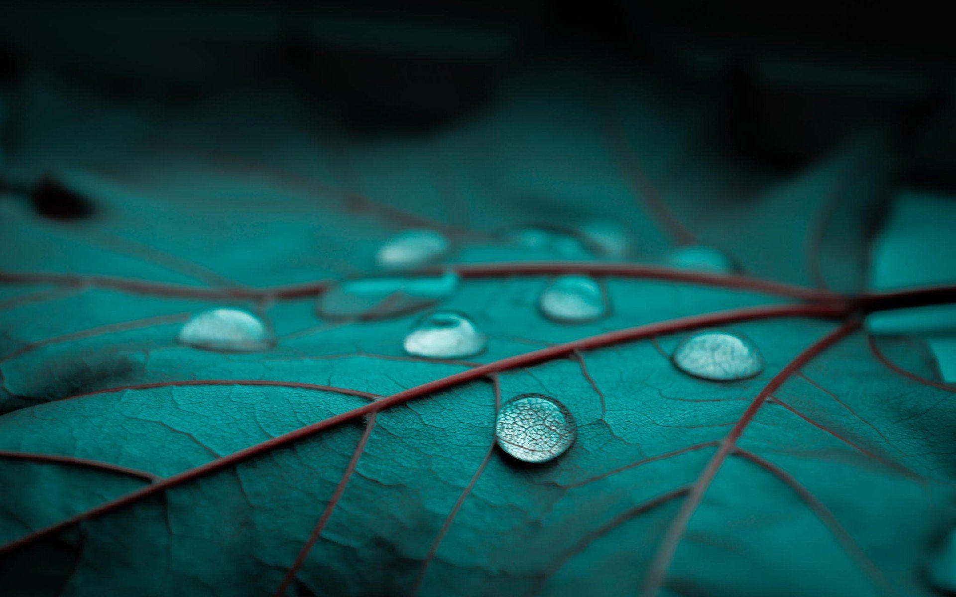 1920x1200 Water Drop HD Wallpaper Free Download