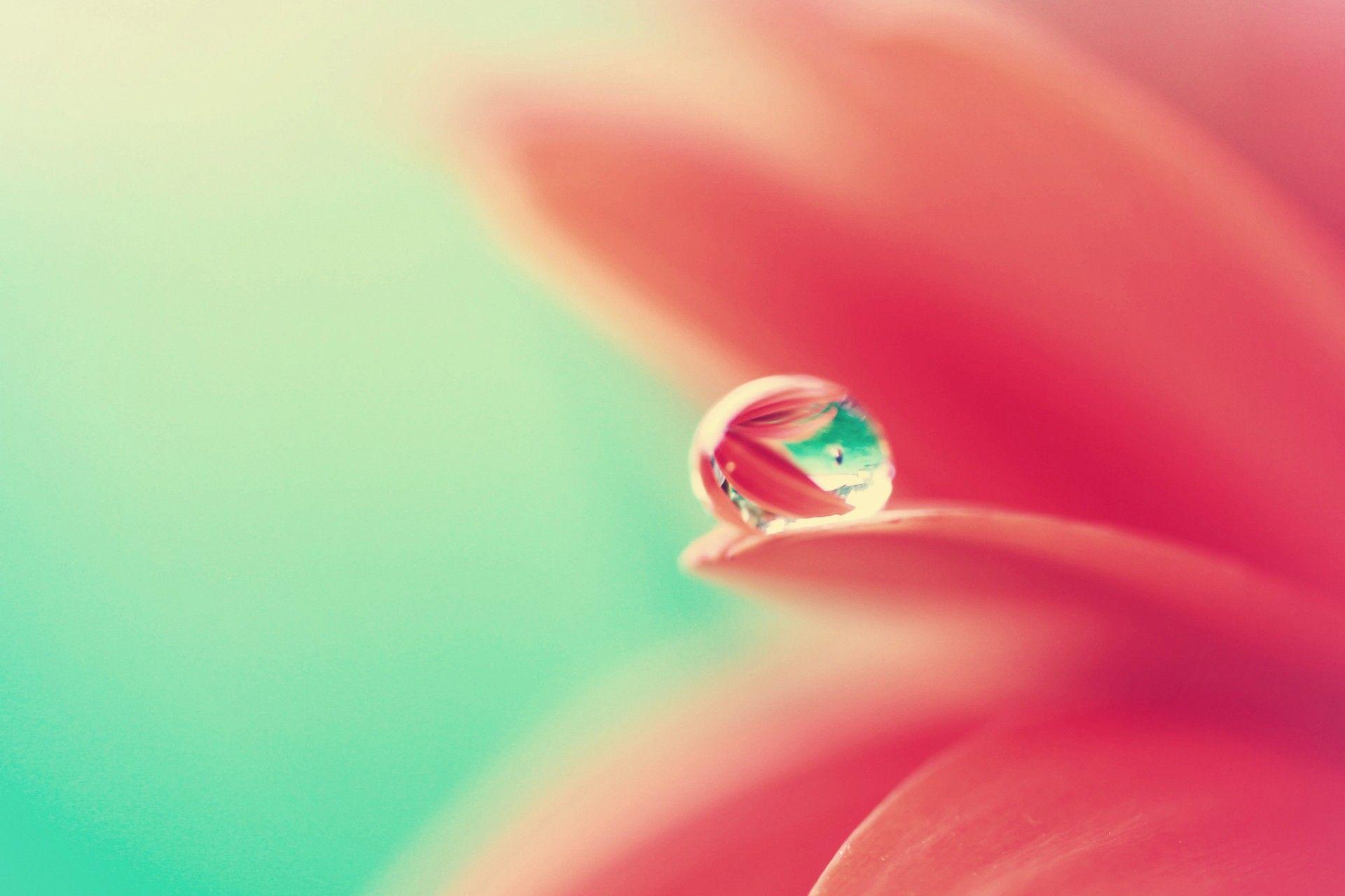 1920x1280 Beautiful Water Drop Wallpaper