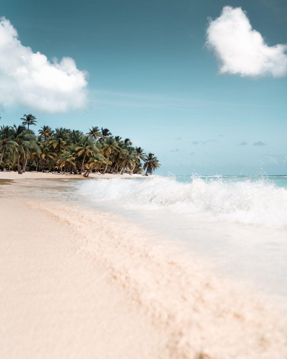 1000x1250 Best Free Beach Picture