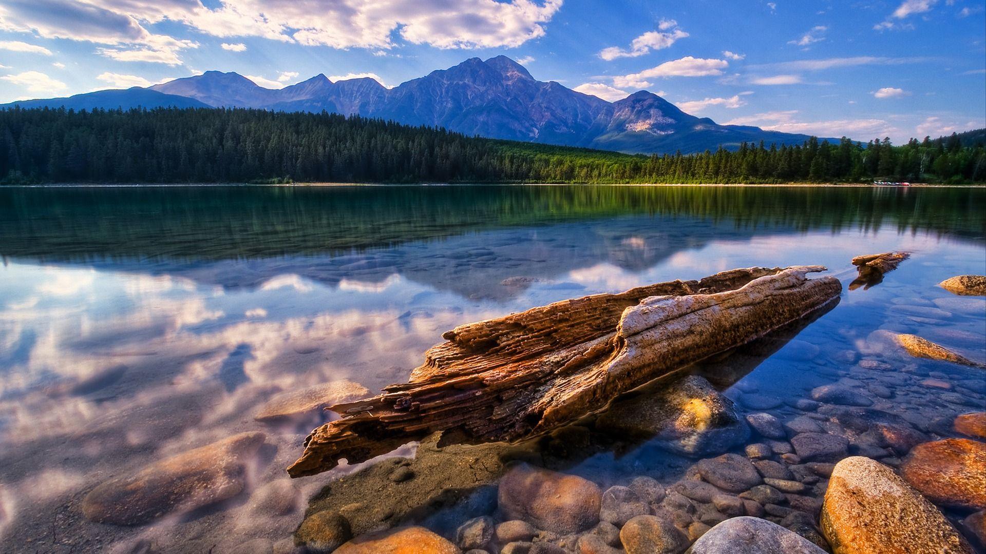 1920x1080 Drifted To Shore Wallpaper Landscape Nature Wallpaper in jpg