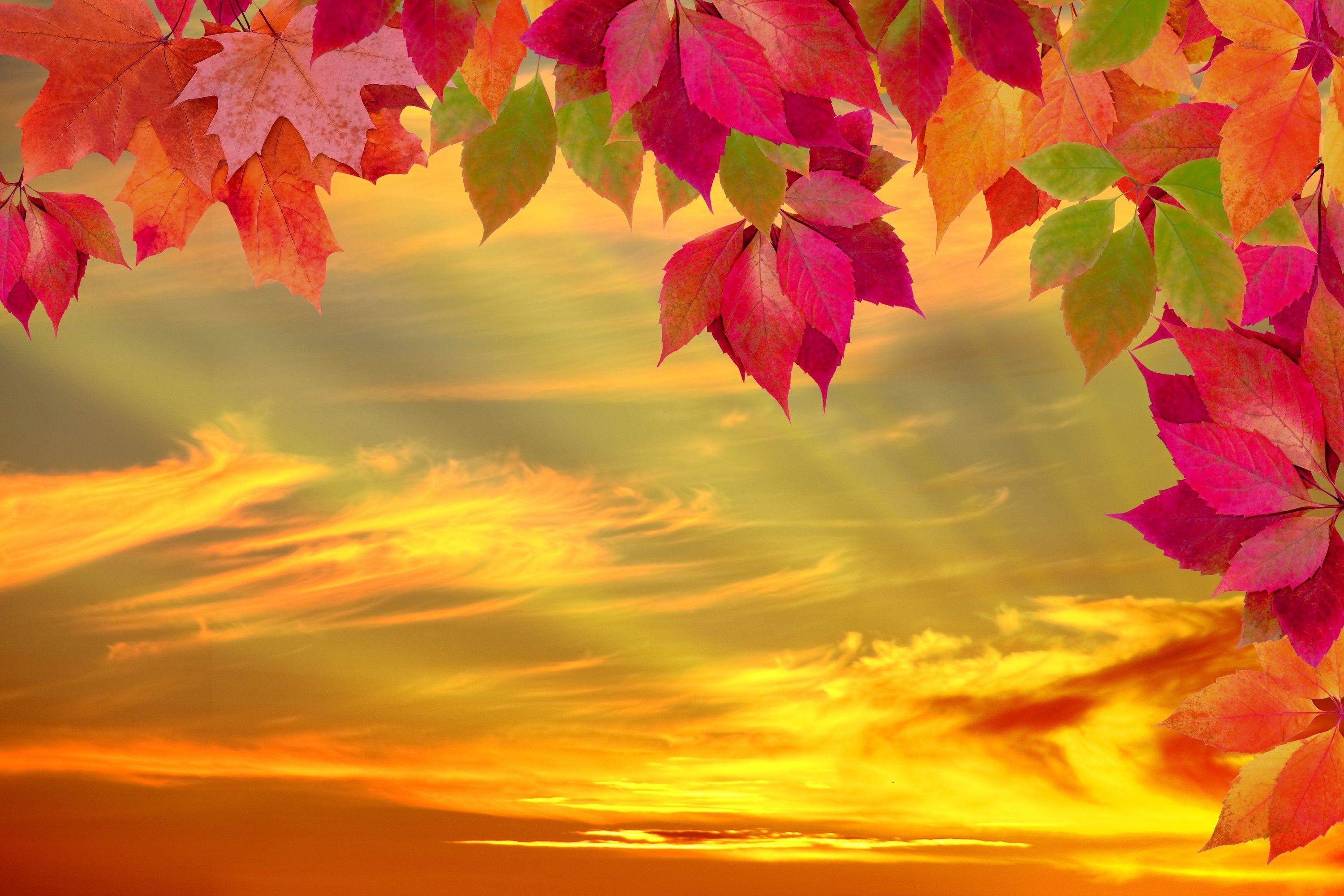 Fall Abstract Wallpapers - Top Free Fall Abstract Backgrounds ...