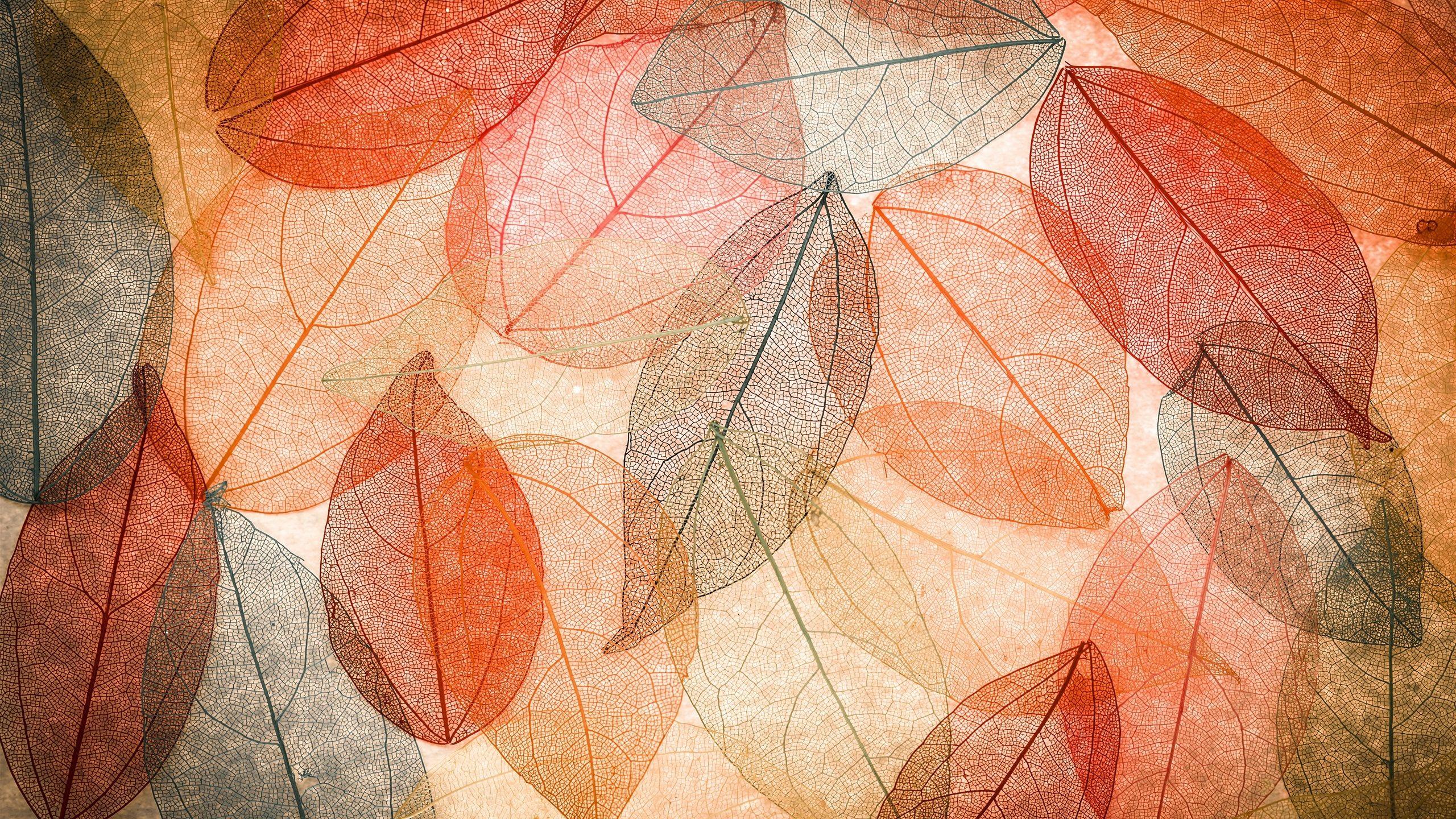 Fall Abstract Wallpapers - Top Free Fall Abstract Backgrounds ...