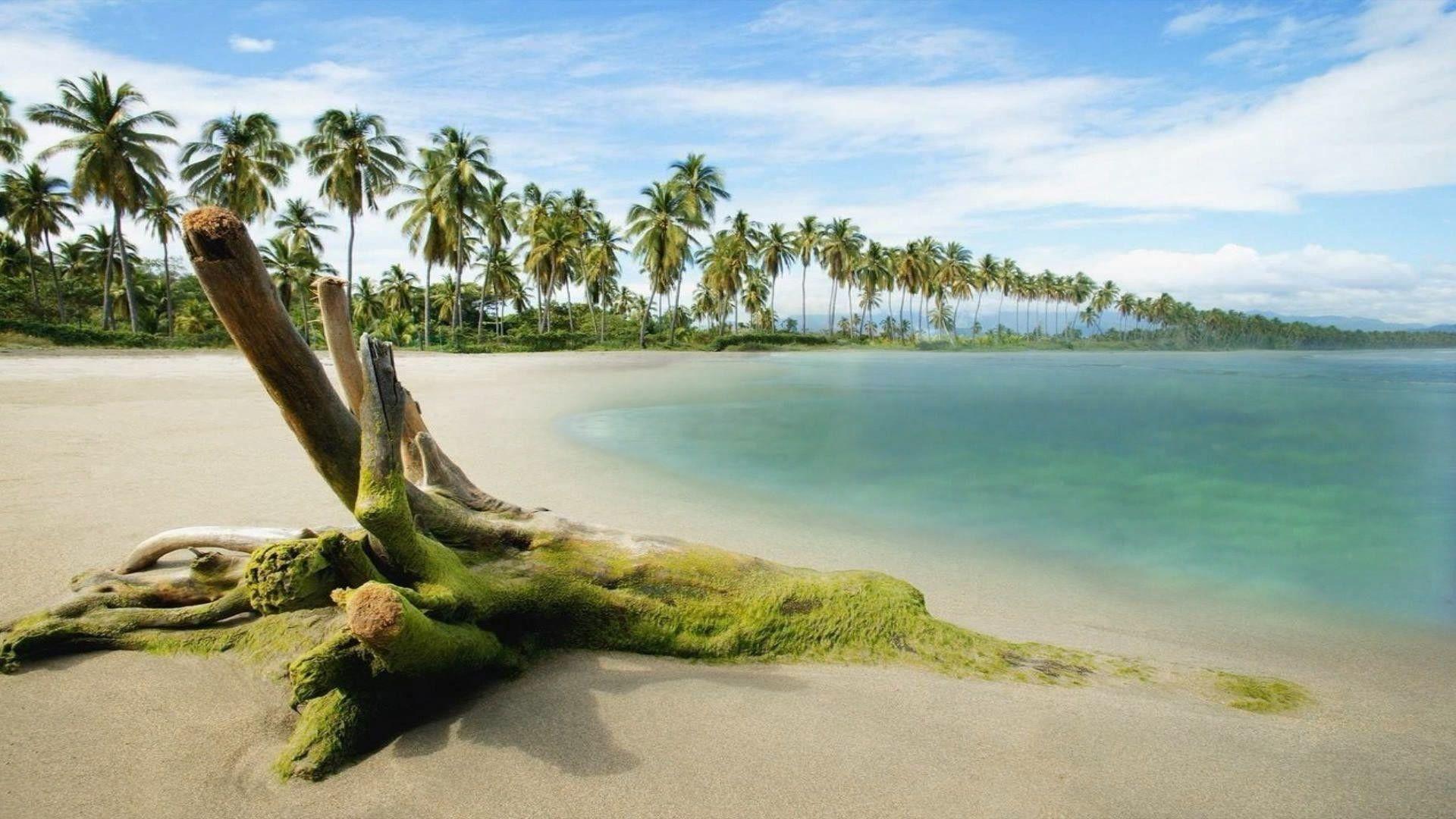 1920x1080 HD Wallpaper 1080p Nature