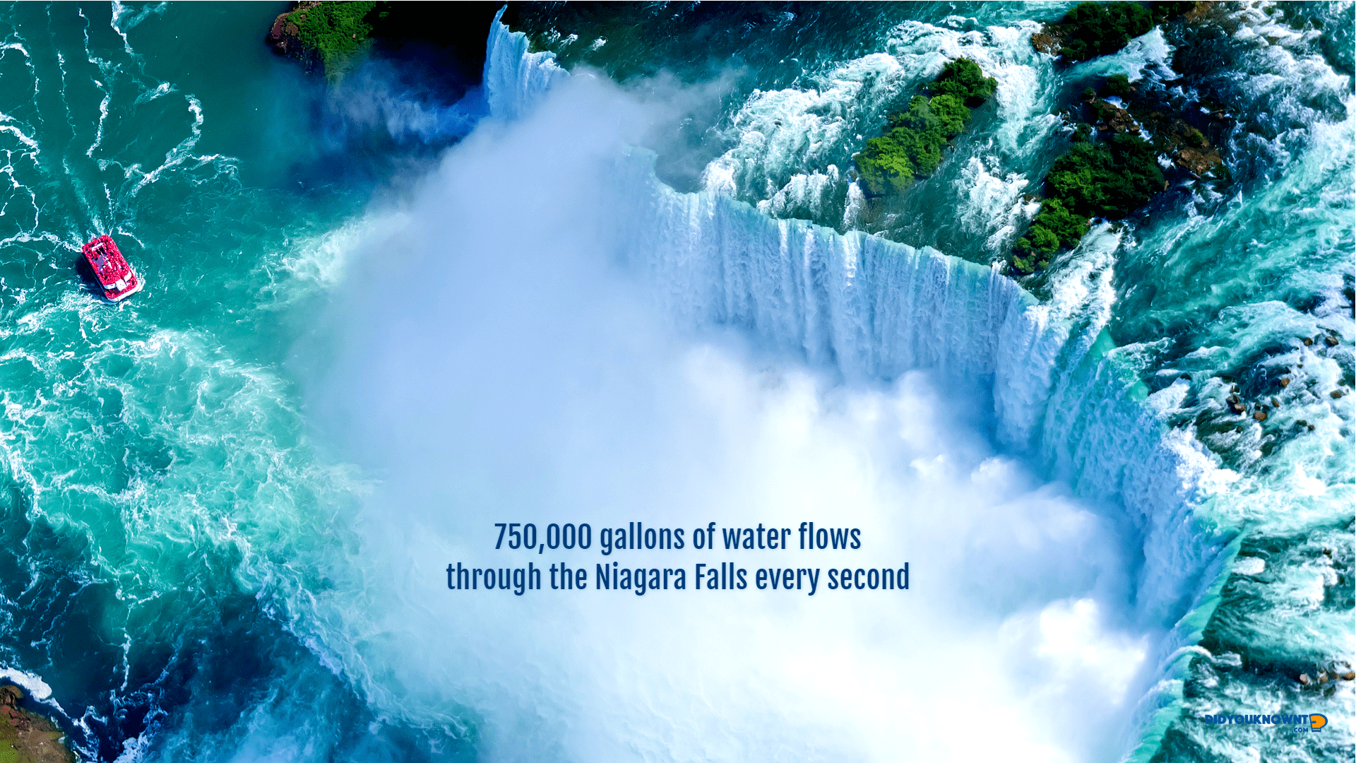 1920x1080 Did You Know? Nature HD Wallpaper New Tab Theme You Know?