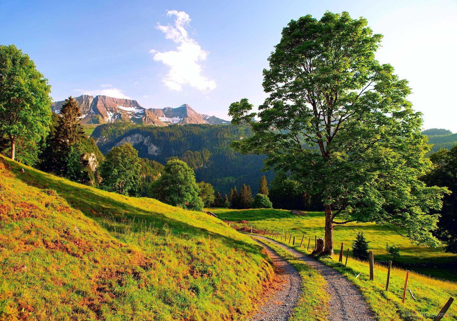 1920x1350 Summer Nature Wallpaper