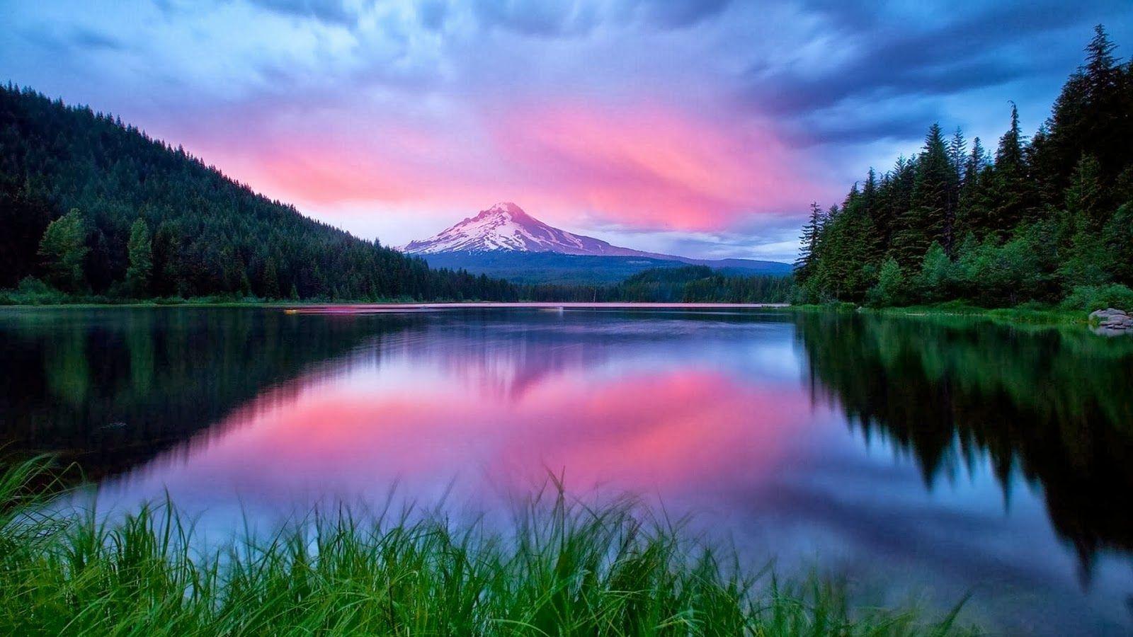 1600x900 Wallpaper Nature HD