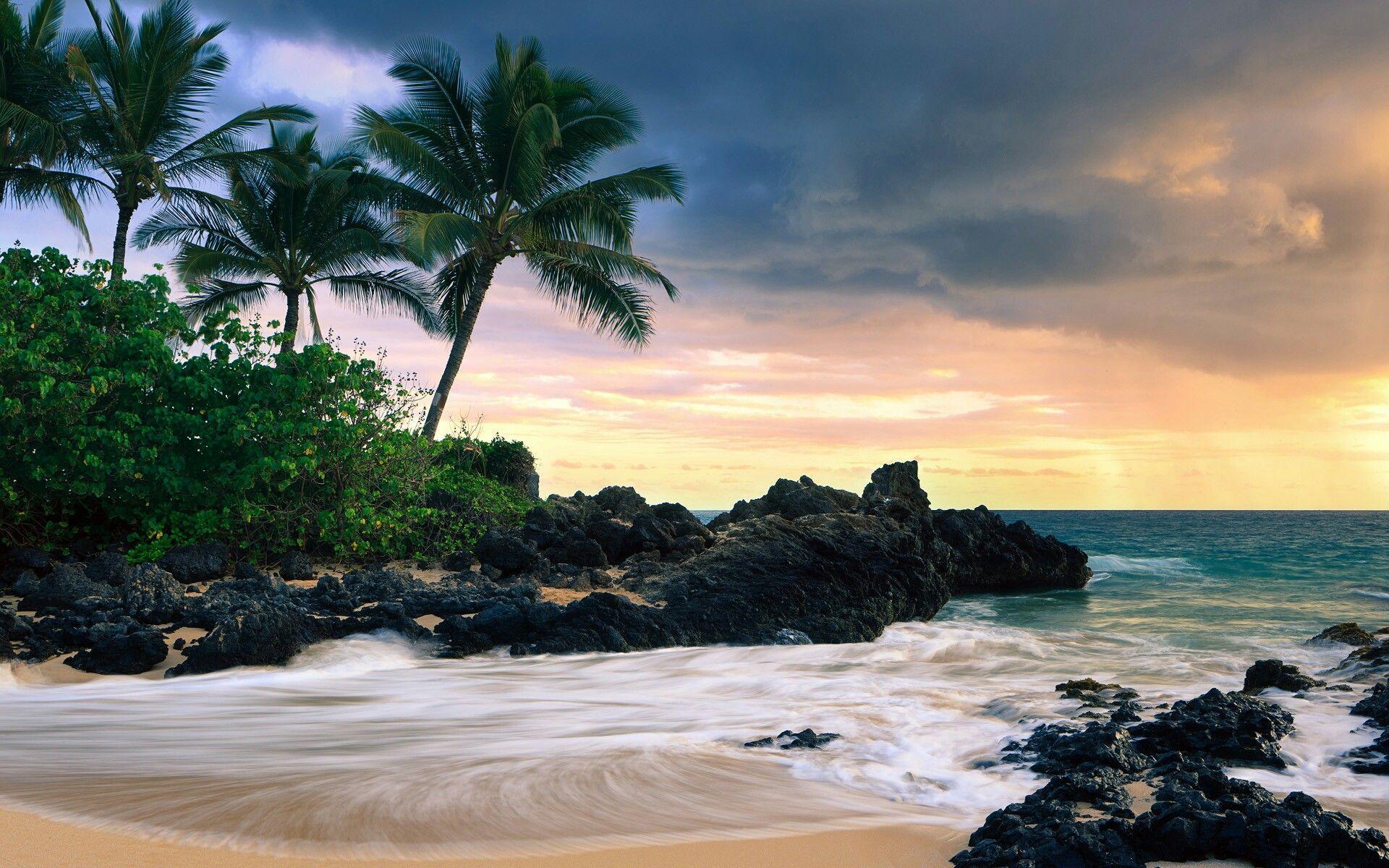 Hawaii Beach Wallpapers Top Free Hawaii Beach Backgrounds Wallpaperaccess