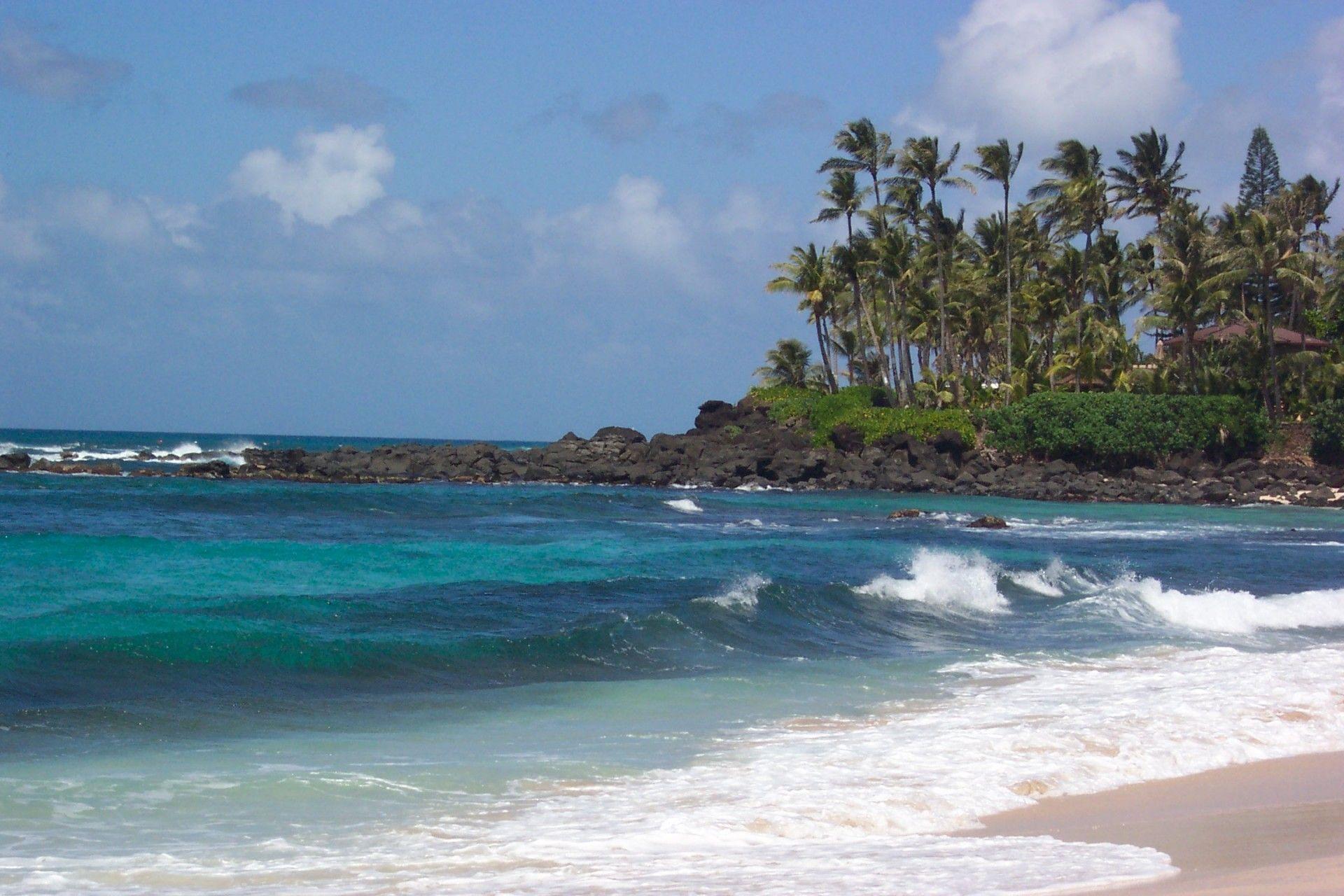 1920x1280 Beaches: Nature Oahu Beaches Turtle Beach Oceans Hawaii HD