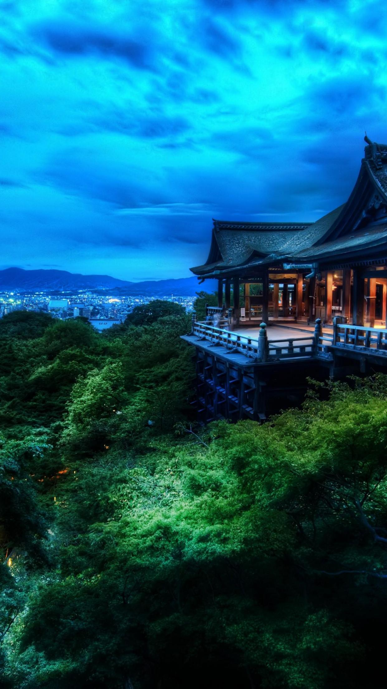 1242x2208 Trees Blue Hdr Night Forest Architecture Asia HD Wallpaper, Desktop