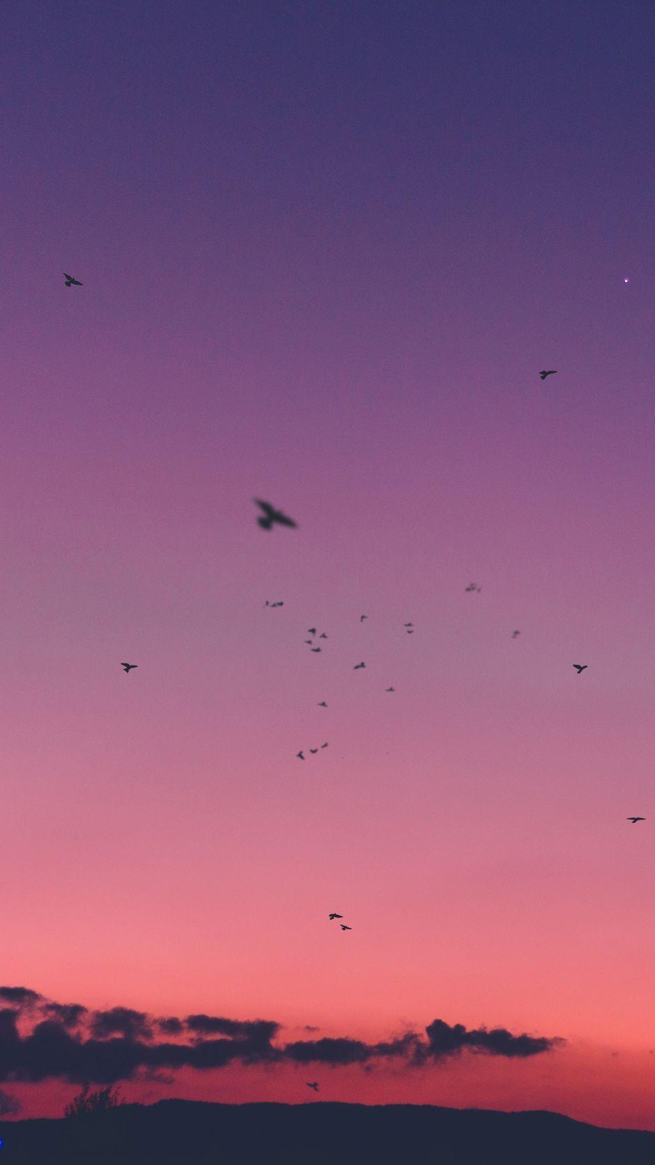938x1668 Download Wallpaper 938x1668 Sky, Sunset, Birds Iphone 8 7 6s 6