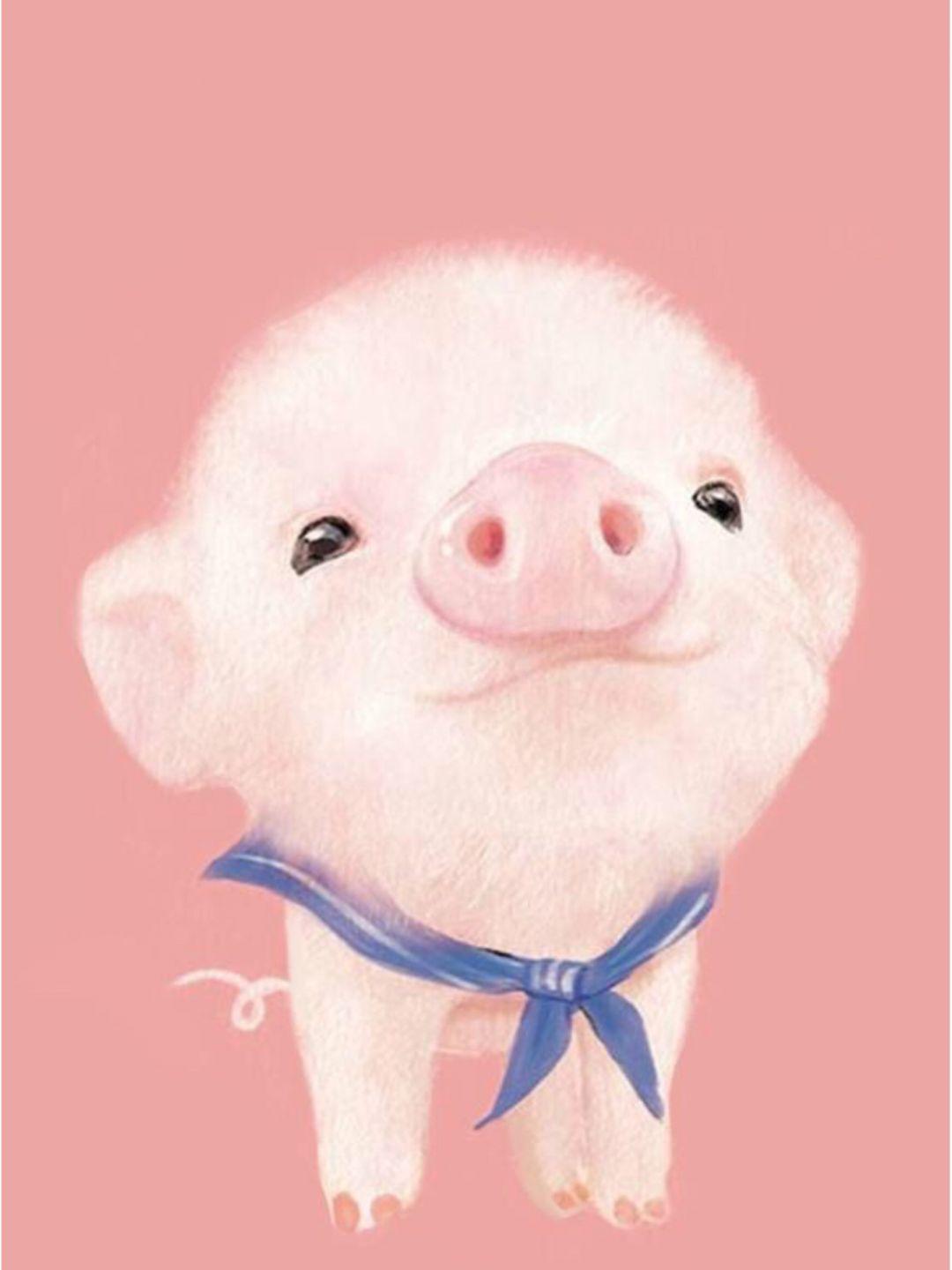 1080x1440 Baby Pigs, iPhone, Desktop HD Background
