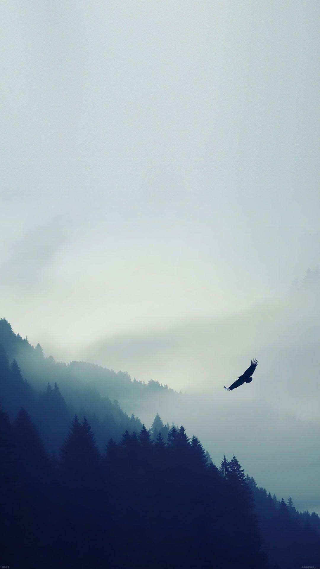 1080x1920 Bird Flying Over Foggy Forest iPhone 6 Plus HD Wallpaper HD