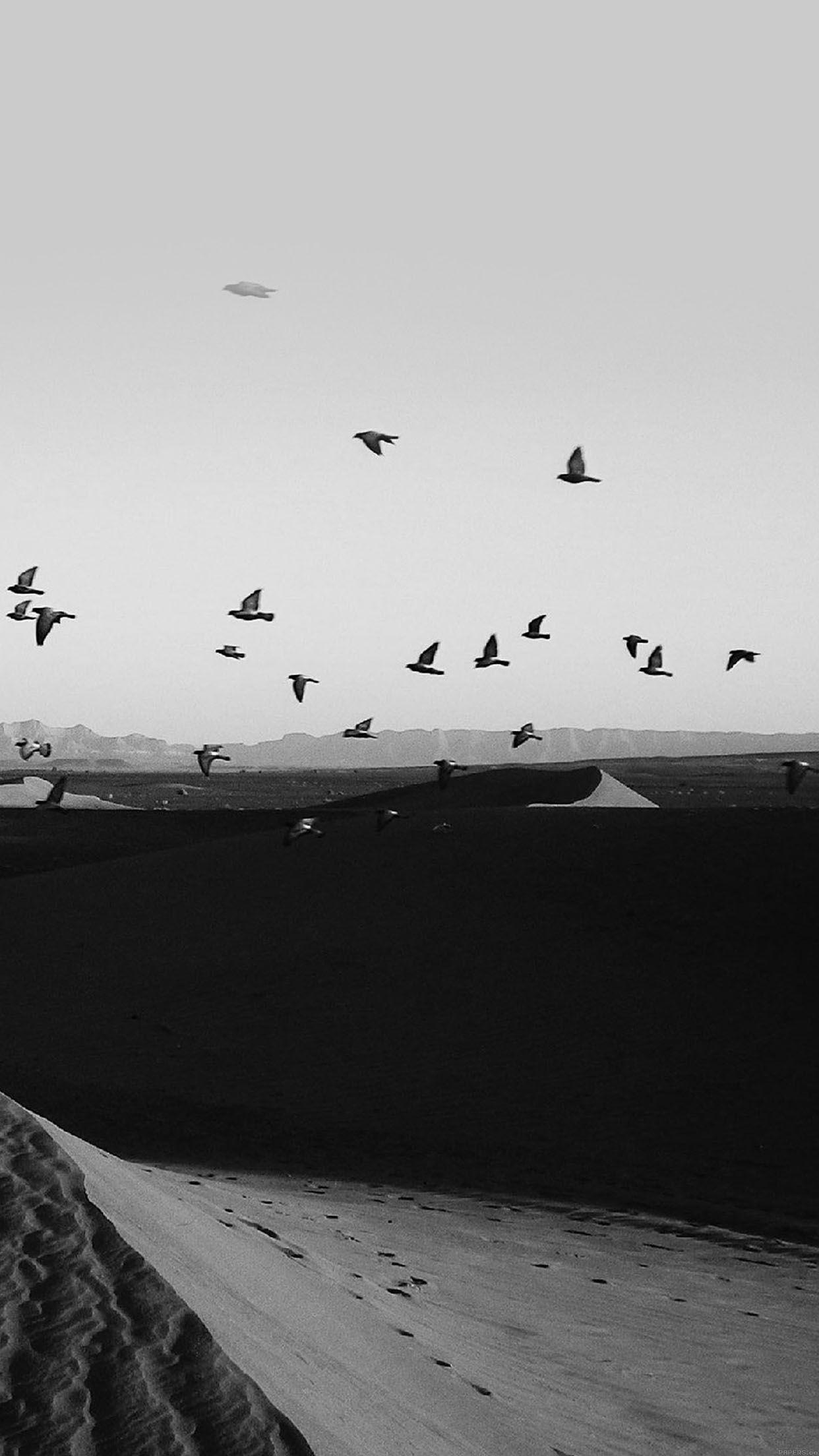 1242x2208 Wallpaper Flights Of Birds Desert