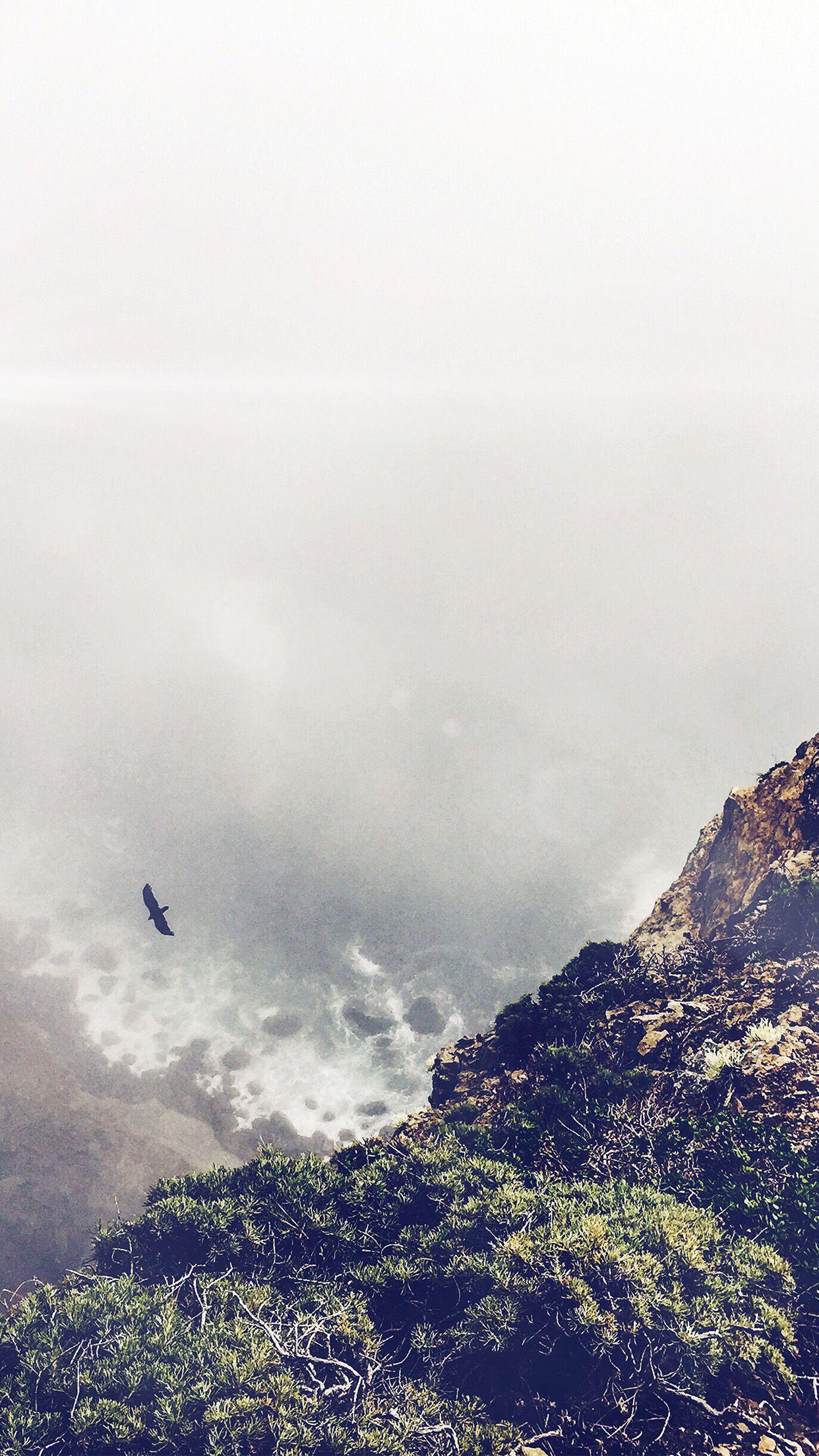 1242x2208 Mountain Bird Cliff Animal Fog Cloud Flare Android 7 Plus