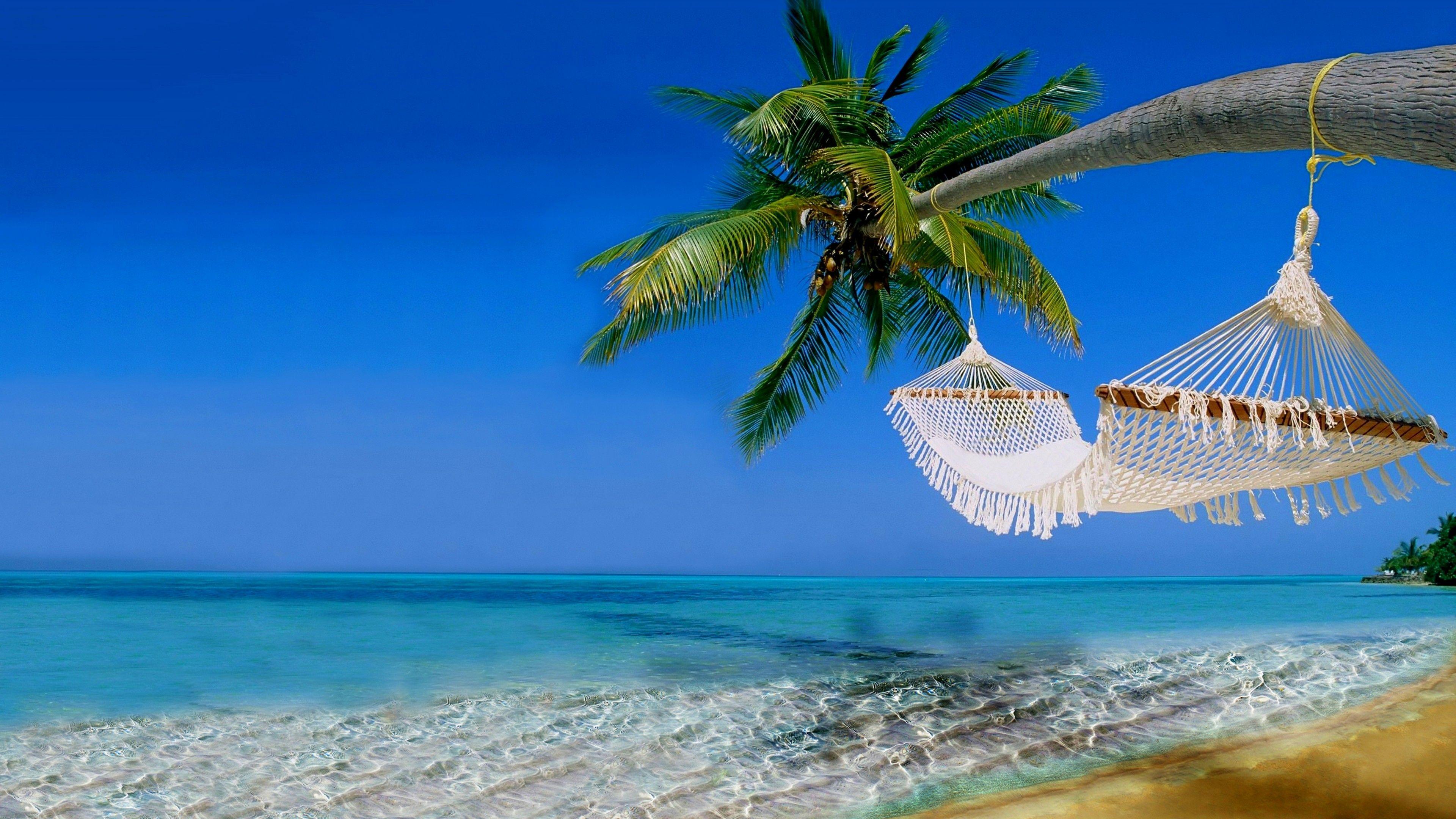 3840x2160 Wallpaper Tropical beach, Ocean, Hawaii, Coast, 4K, Nature