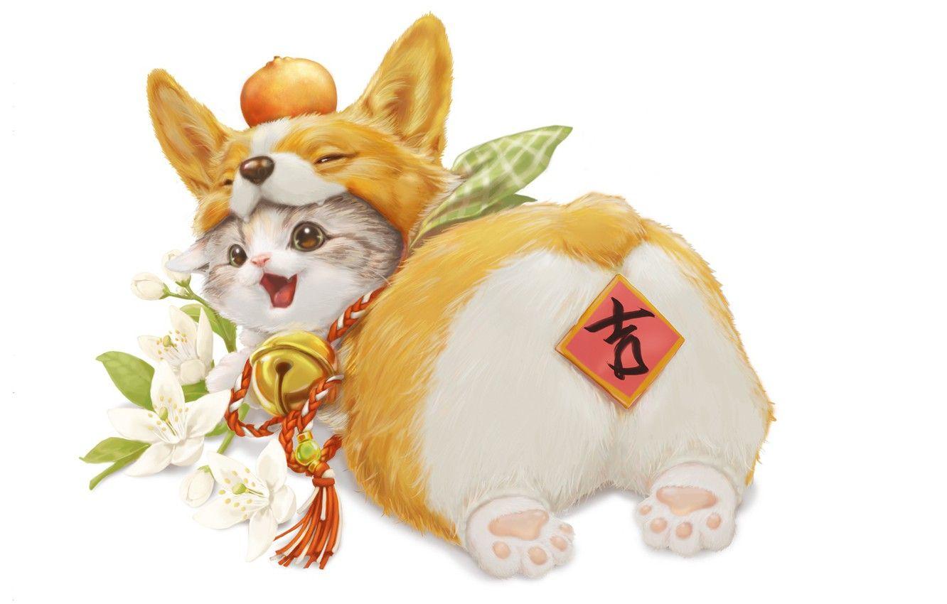1332x850 Photo Wallpaper Flowers, Kitty, Play, Welsh Corgi Corgi