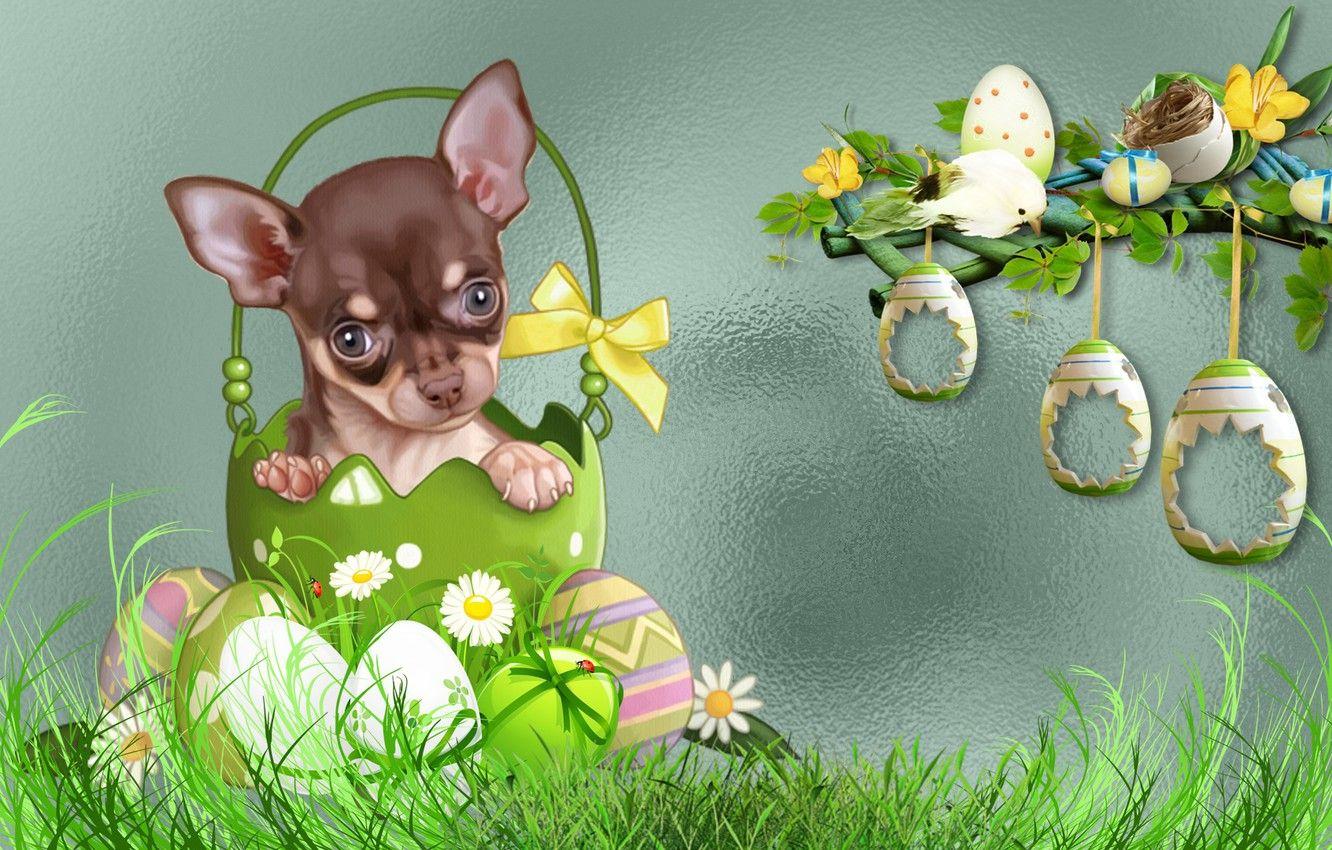 1332x850 Wallpaper dog, MOOD, EASTER, THE WALLPAPERS image for desktop