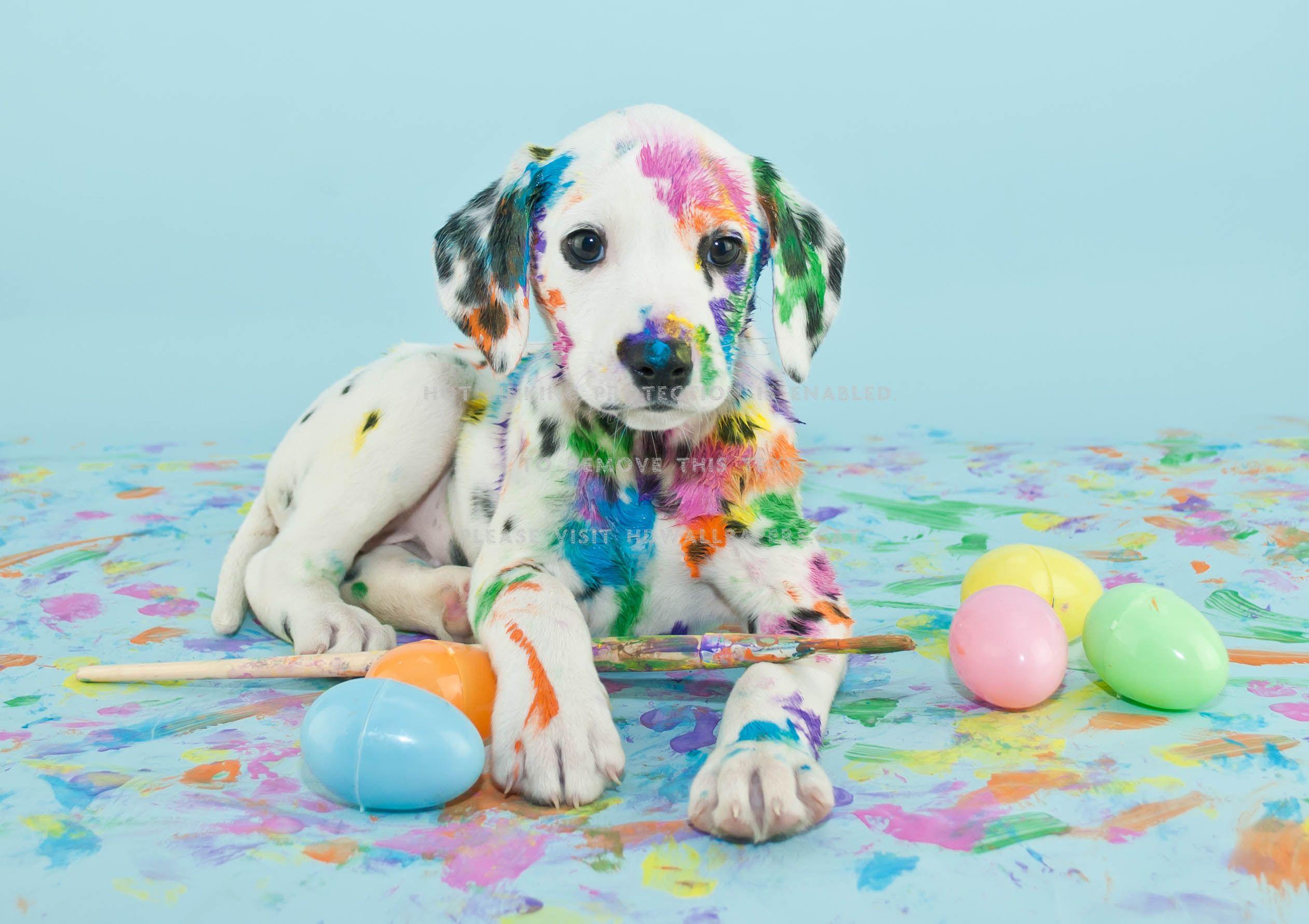 Easter Dog Wallpapers - Top Free Easter Dog Backgrounds - WallpaperAccess