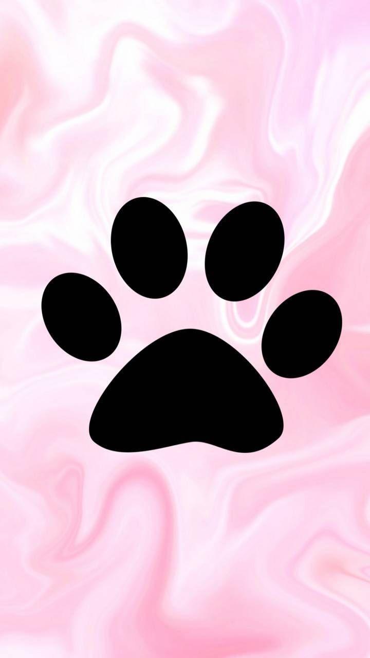 720x1280 Dog paw wallpaper