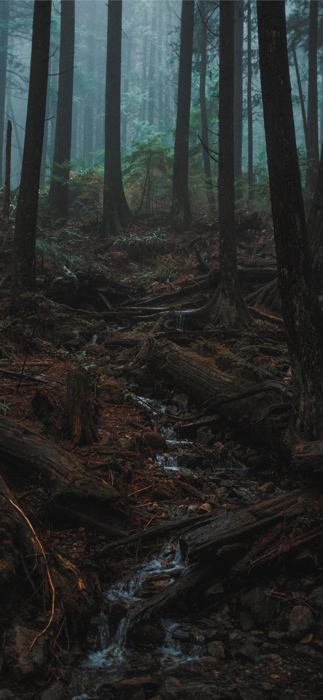 Tall Wallpapers Top Free Tall Backgrounds WallpaperAccess