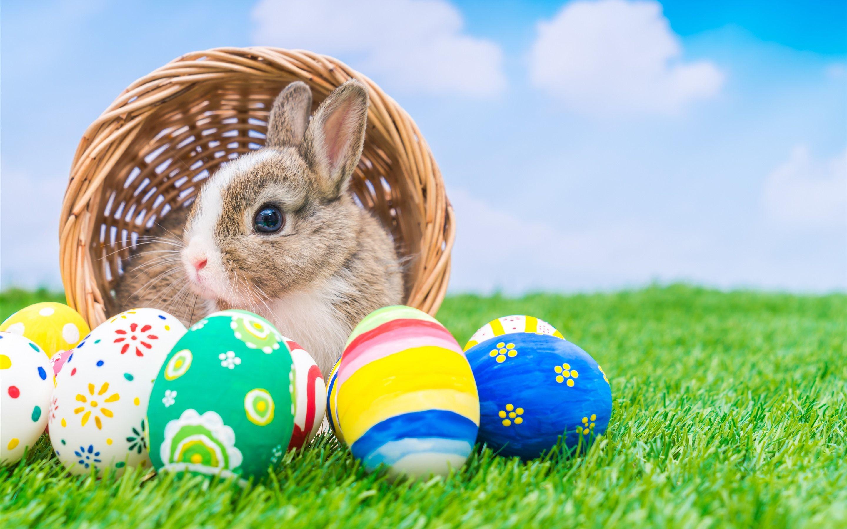 2880x1800 Wallpaper Colorful Easter eggs, rabbit, basket, green grass