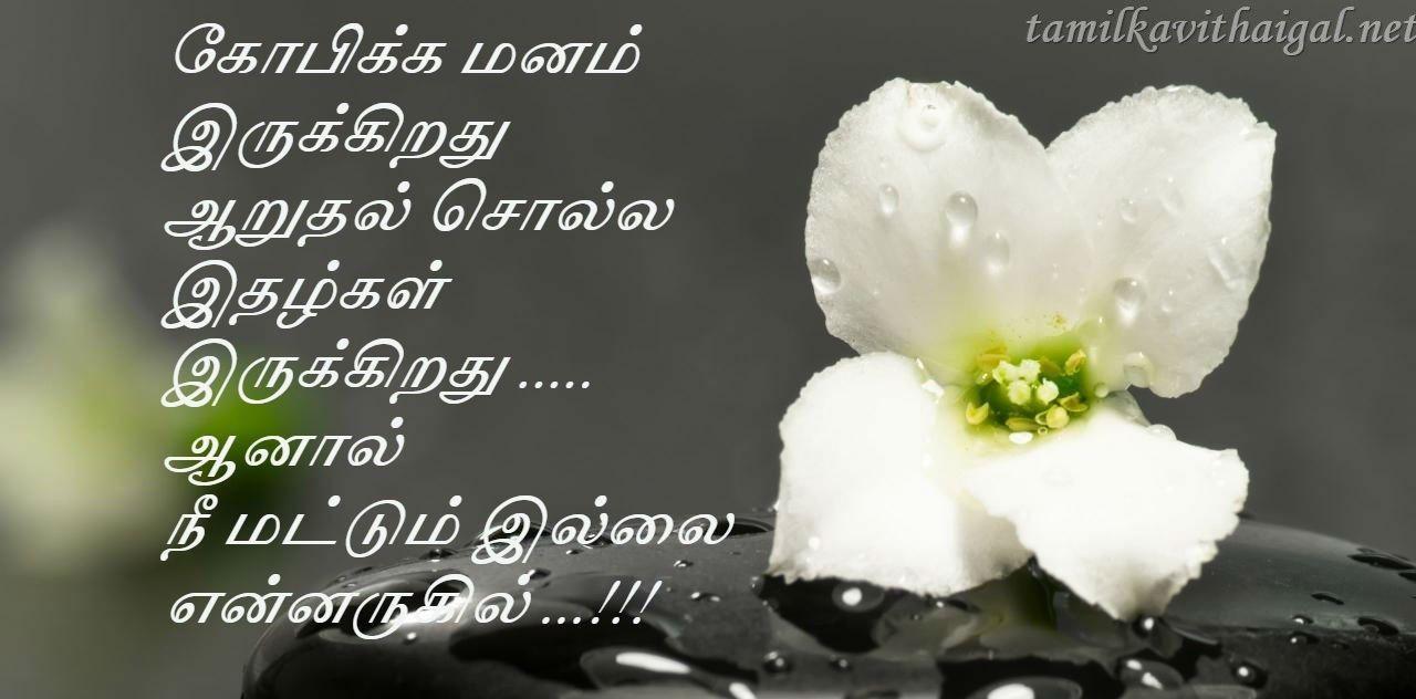 Flower Kavithai In Tamil | Best Flower Site