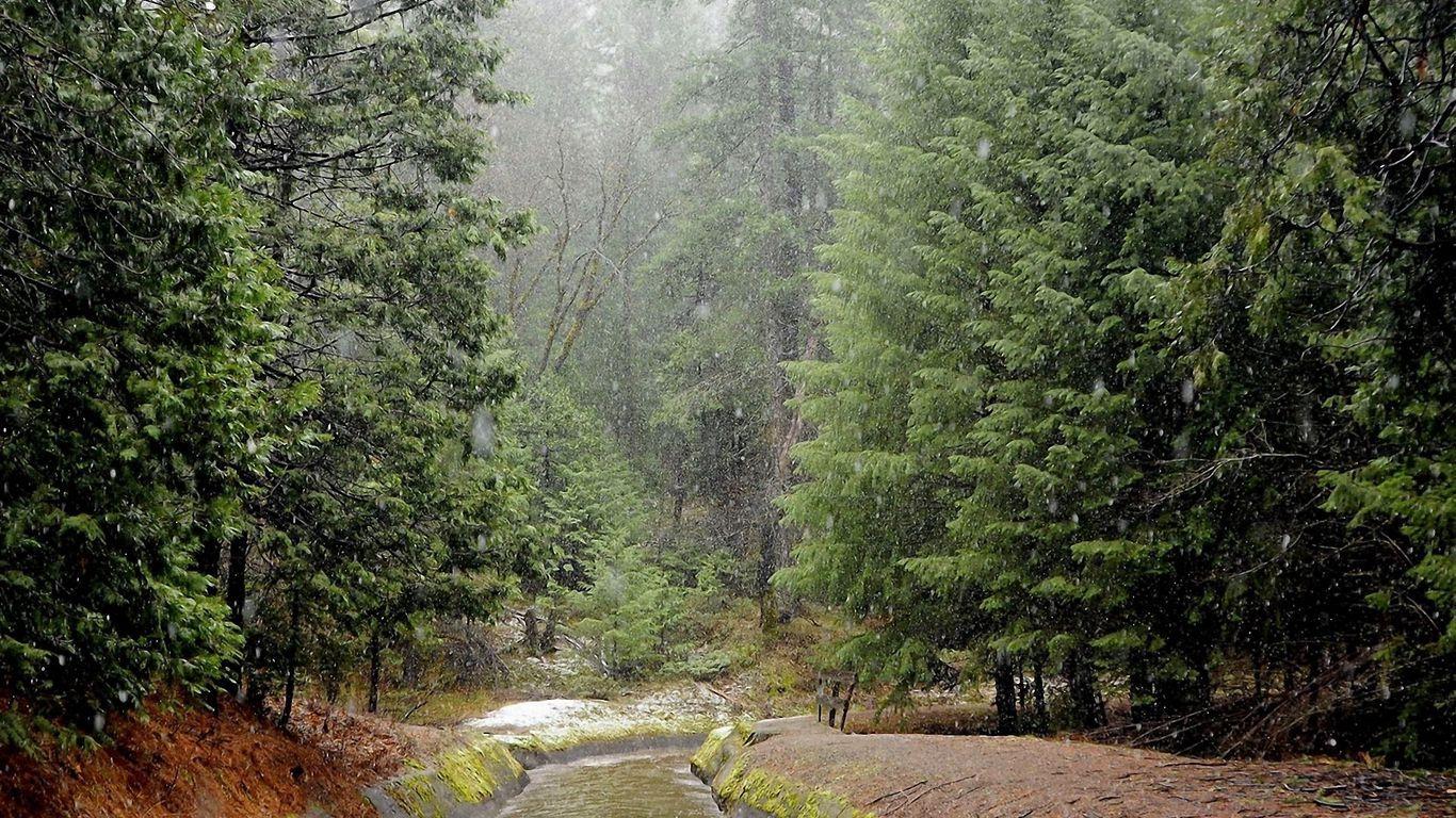 1366x768 Download wallpaper 1366x768 rain, wood, river, bad weather tablet